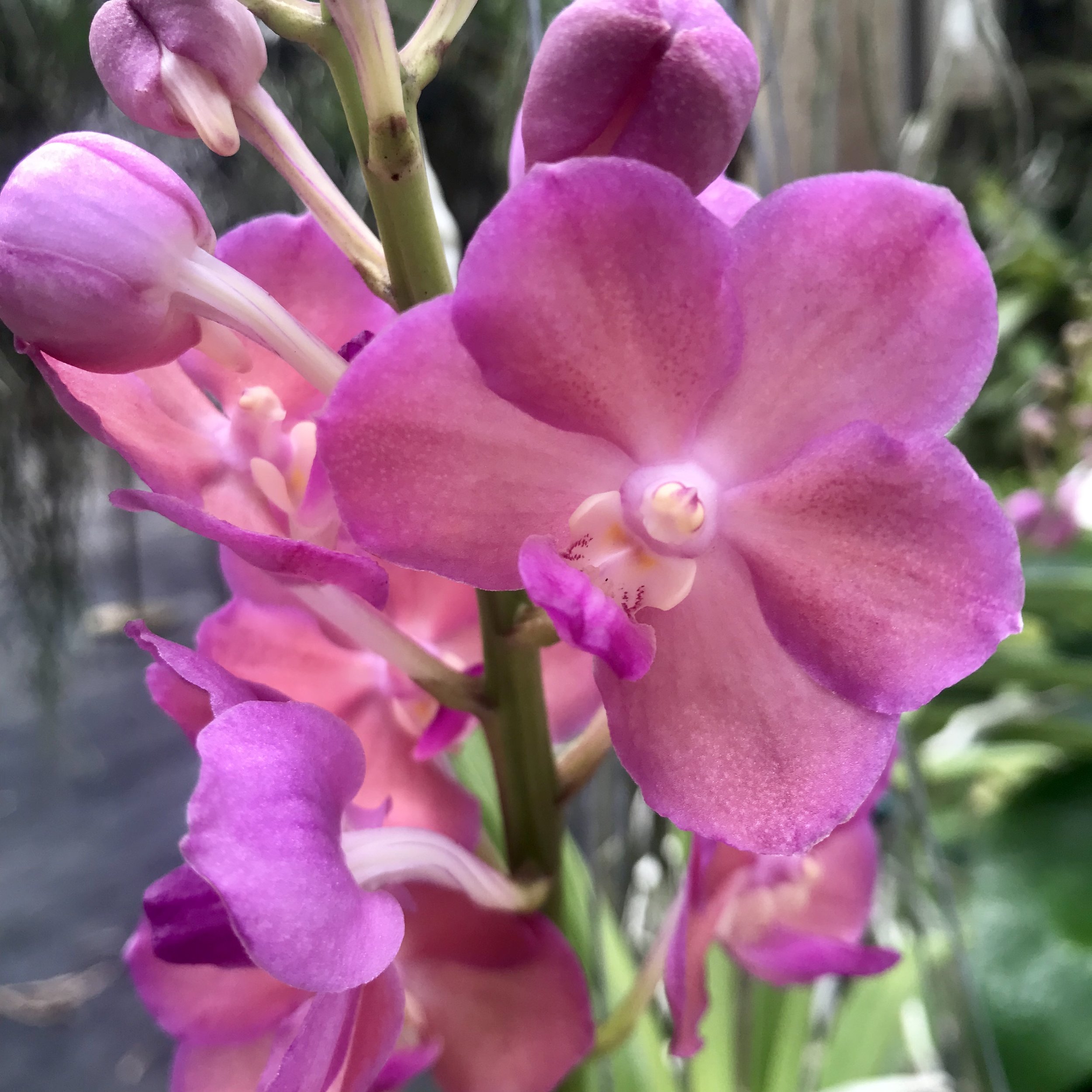 405D4ADF-6A07-40D0-836B-8A27BDA78C35