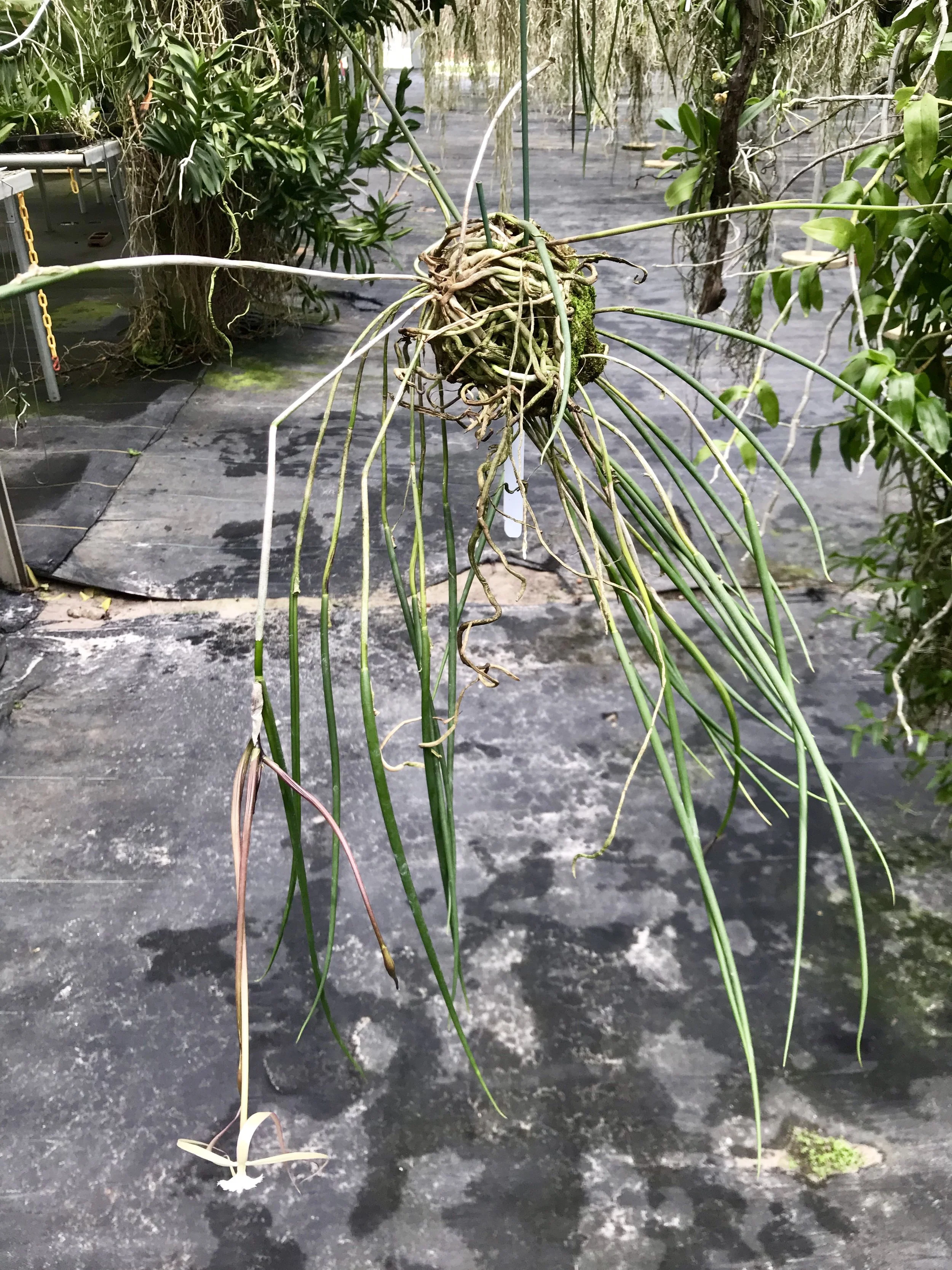 9E3B9B2B-9023-4530-AAF8-16006D48B08A