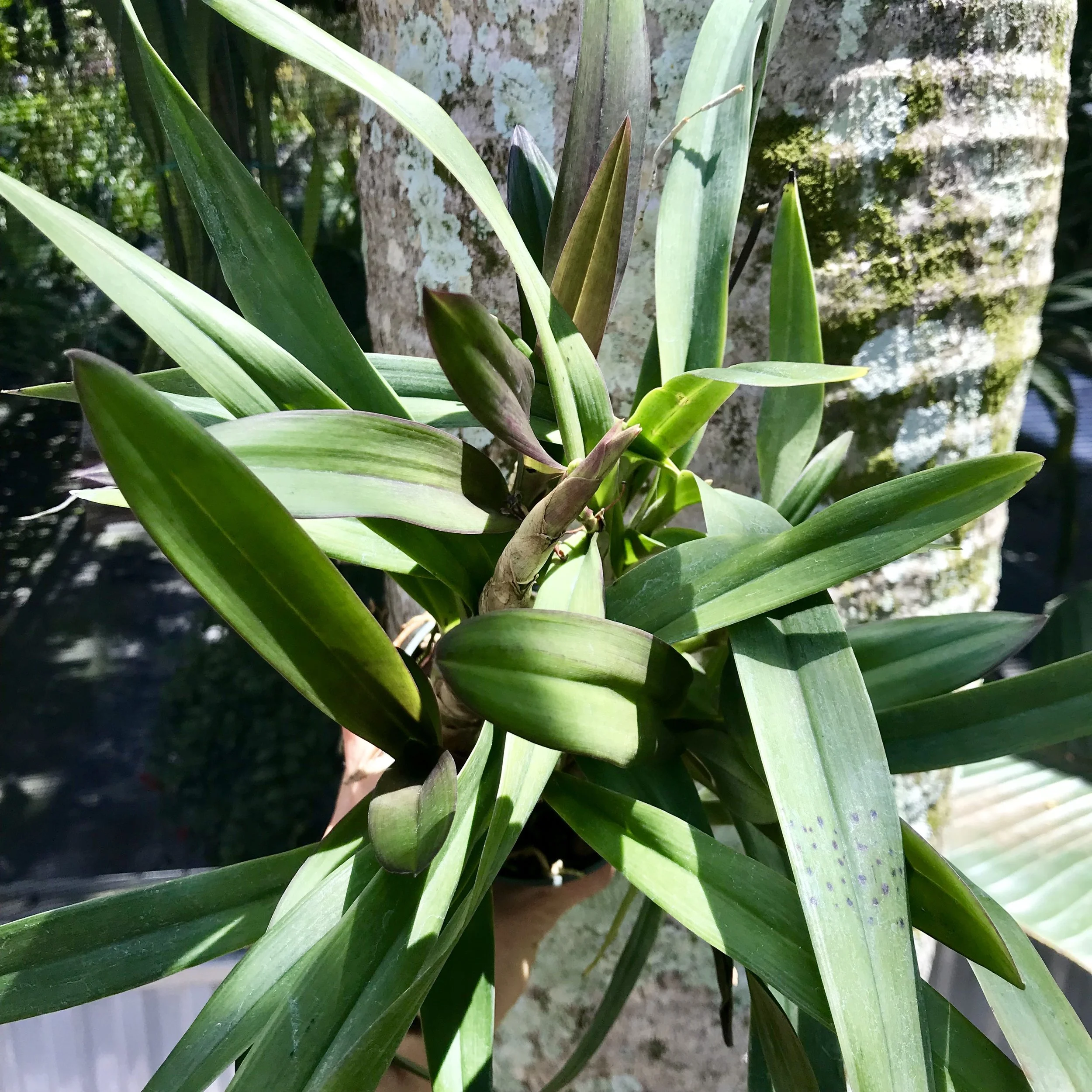 0213358A-674E-476C-AC3F-36A3E2125872