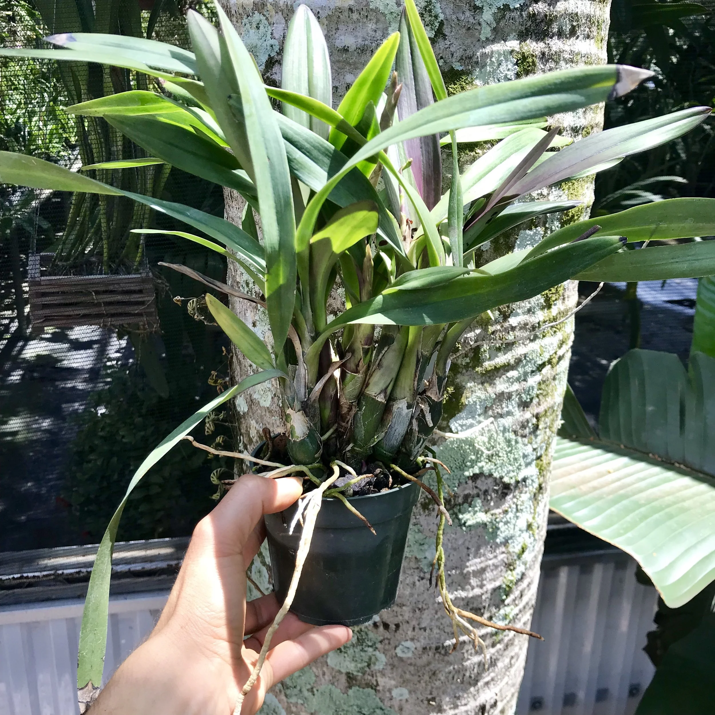 B8146CF2-C636-4C91-8F2F-E659BD635DB2