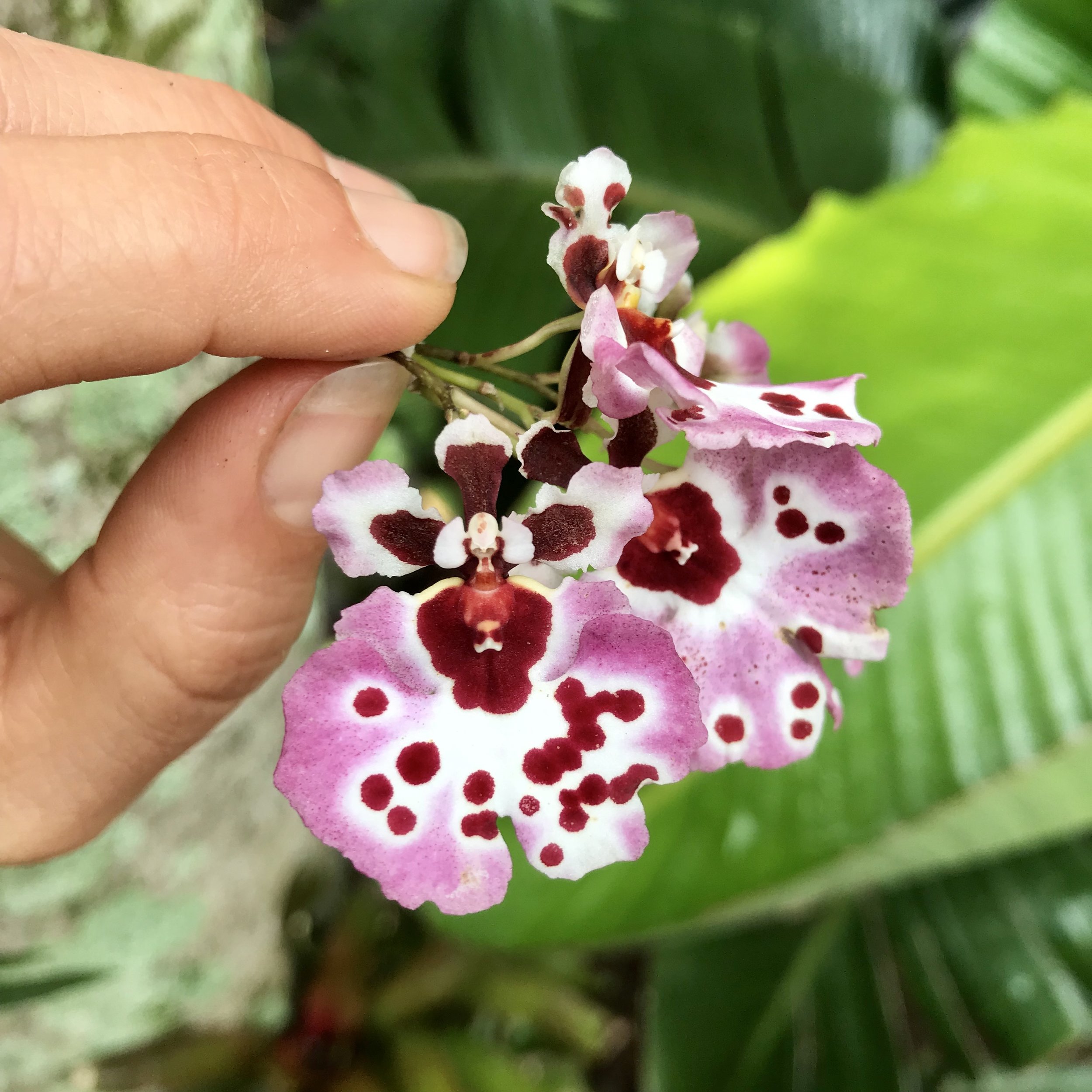 050B6235-6C06-4F52-BC4A-8C29E8634541