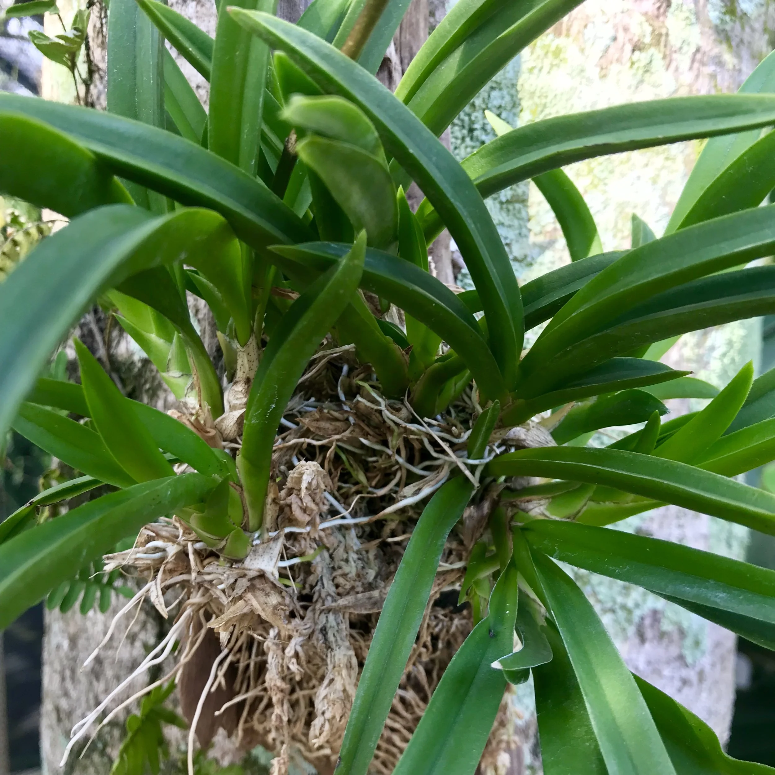 921EA9DF-BD79-4752-96AB-754B80B6705C