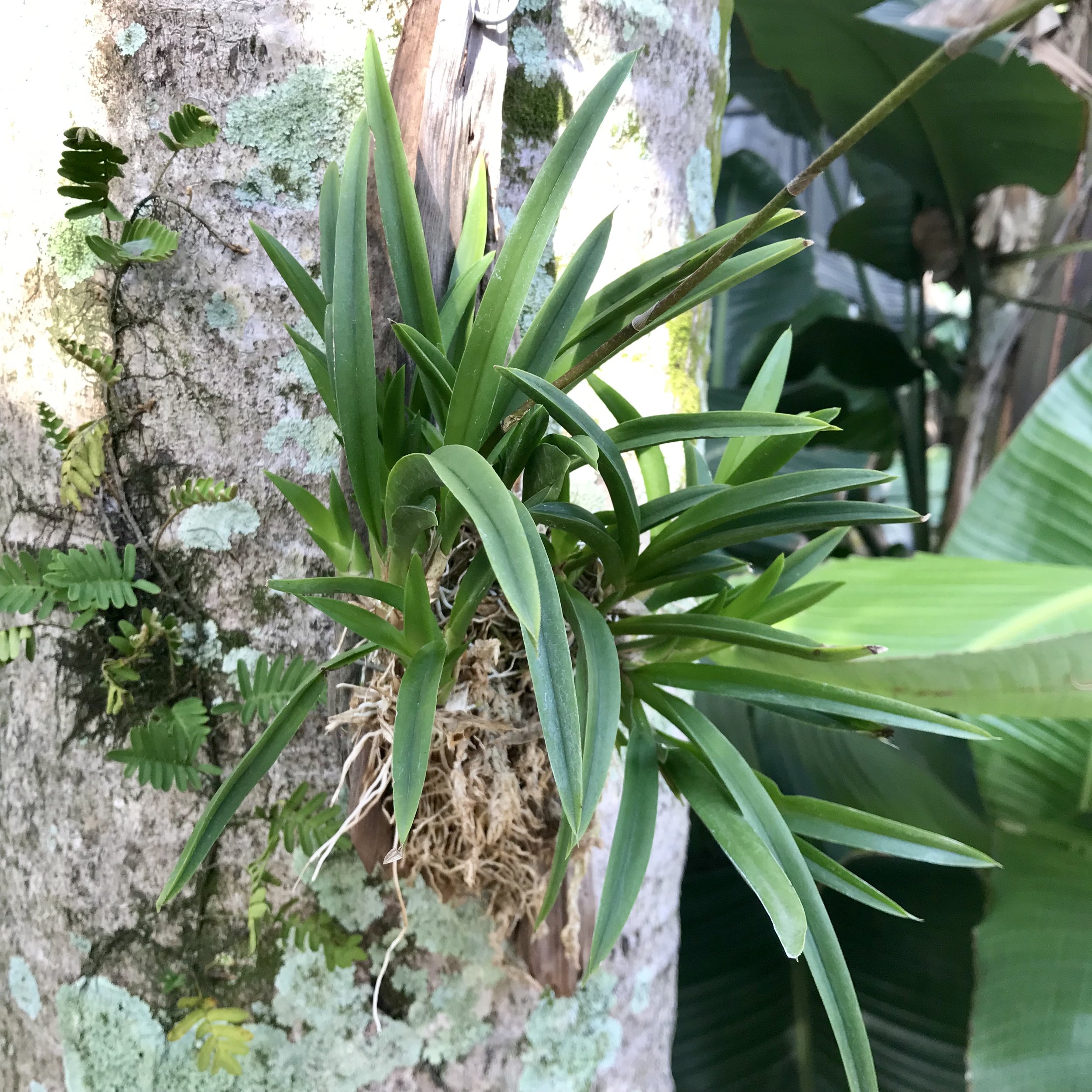 8CBAF9F0-8169-4EBF-9D72-33C912CC7725