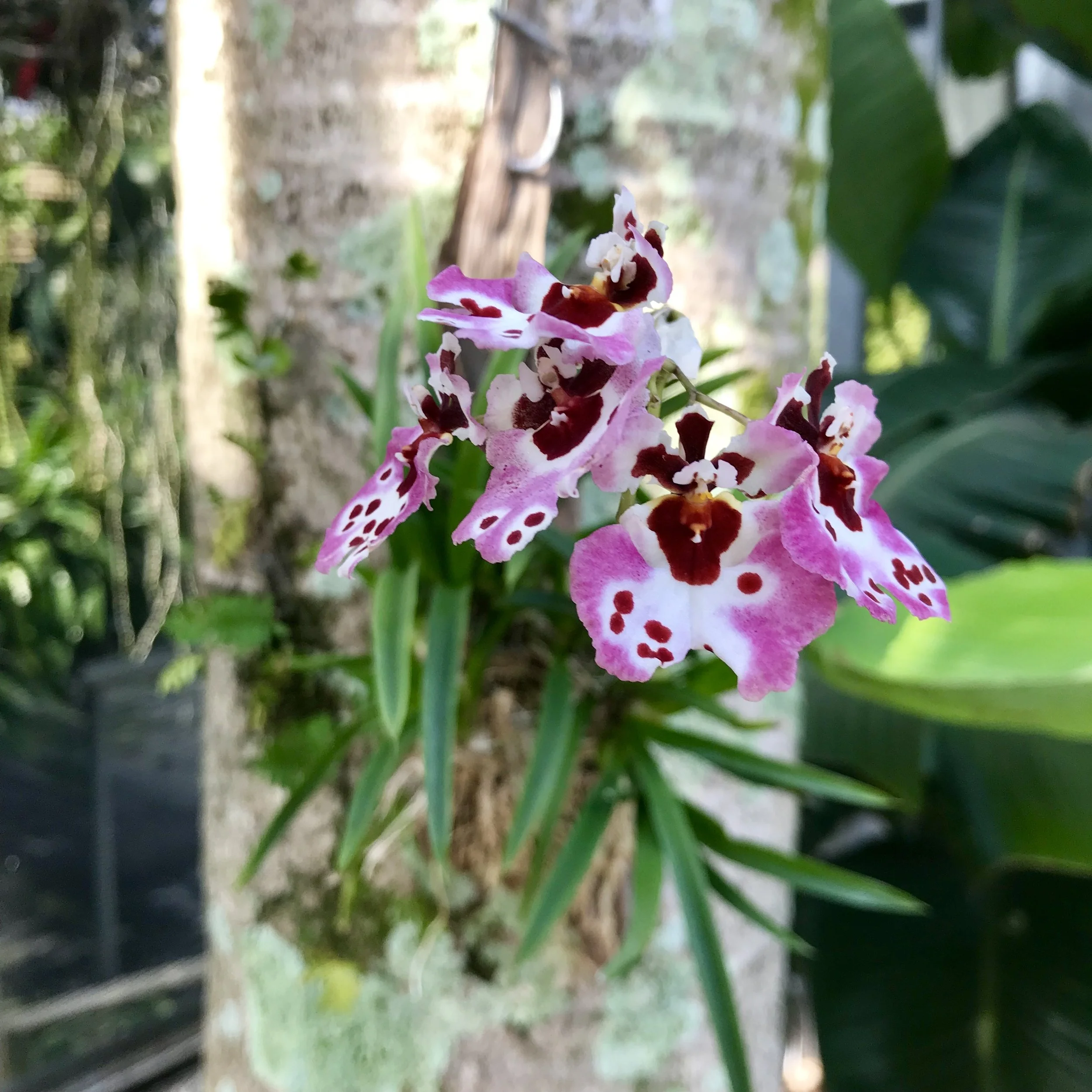 C5A3D7C8-9AA1-4F8E-9AD6-70D9629BE1F1