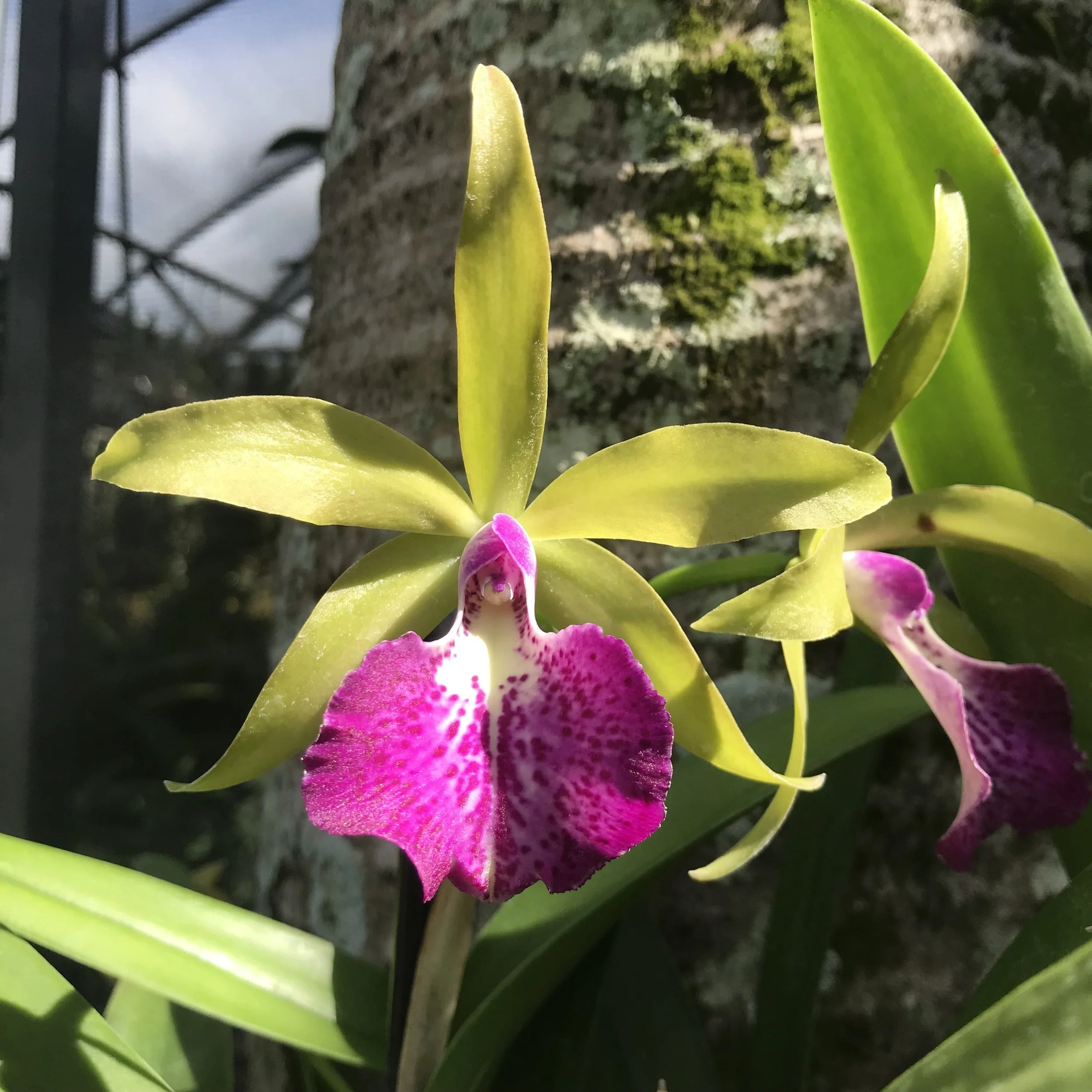 C2142735-2D21-449B-A083-ACCF6DF1D027