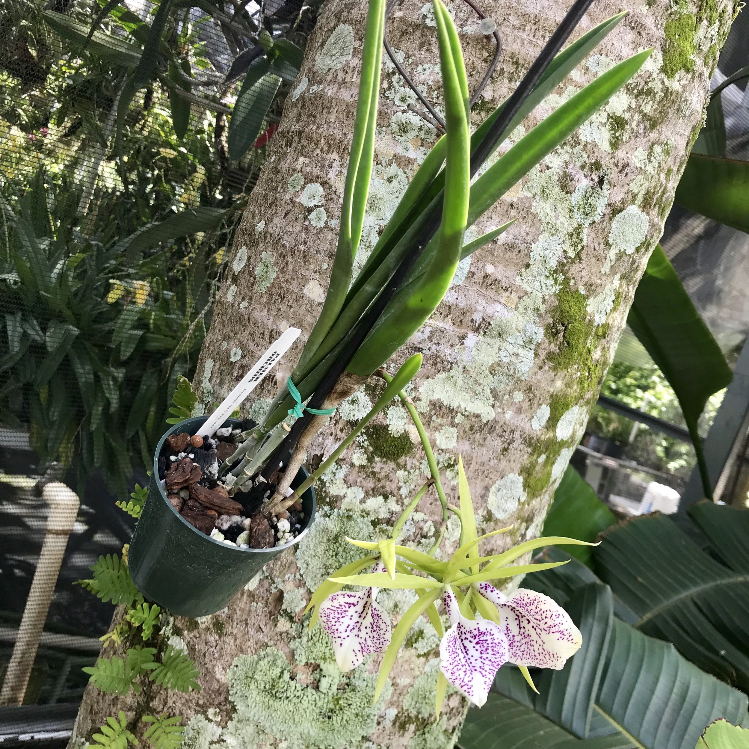 1C436803-2702-483A-BD04-CBD9ACF8B0C8