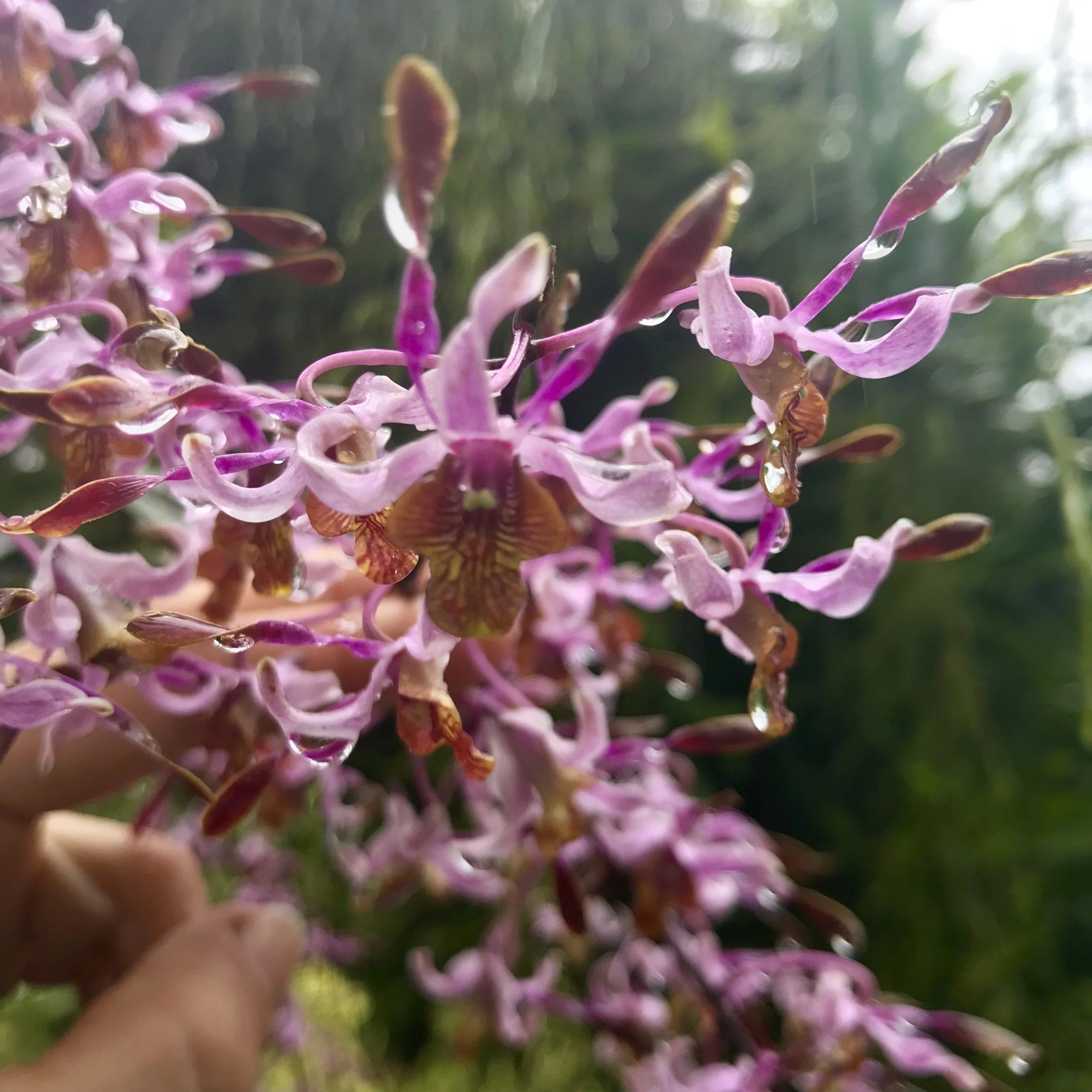 C0A17A41-42B3-4B98-AAF9-E129A6D79FAA