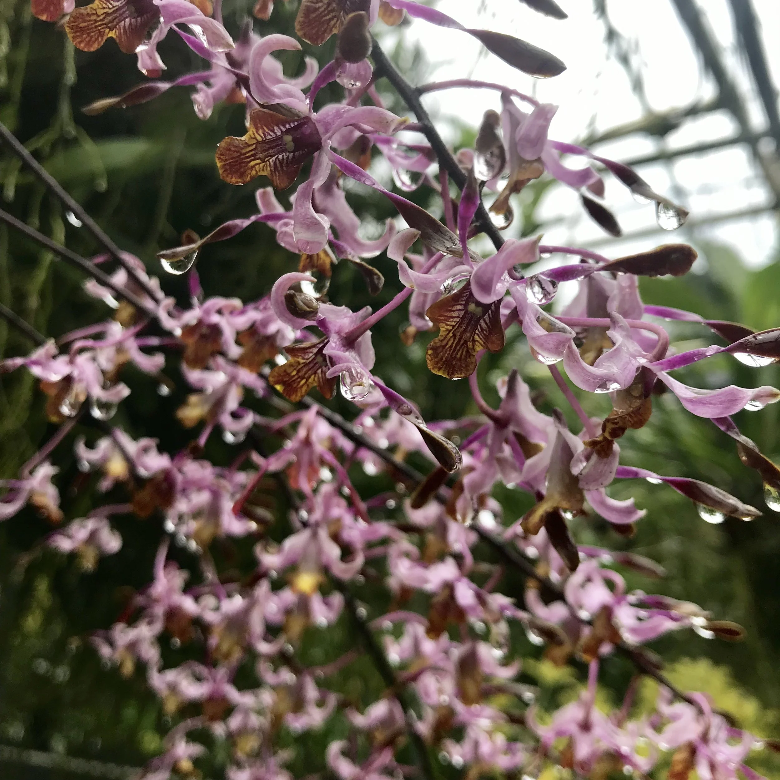 64EF74FB-3430-48DC-8DFA-BBDB4C8C988F