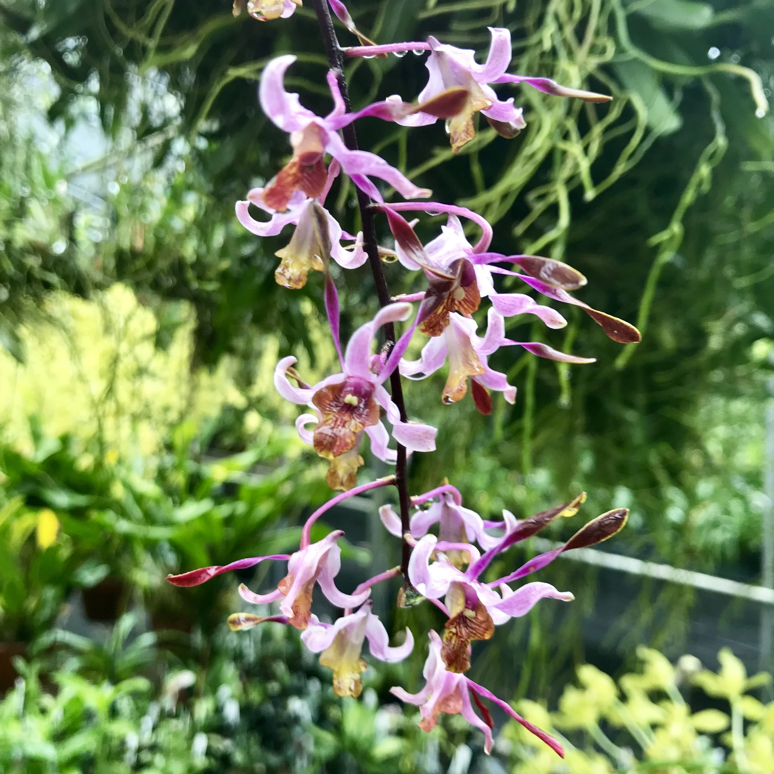 74F2A386-10E6-481B-A065-1439C4539D36