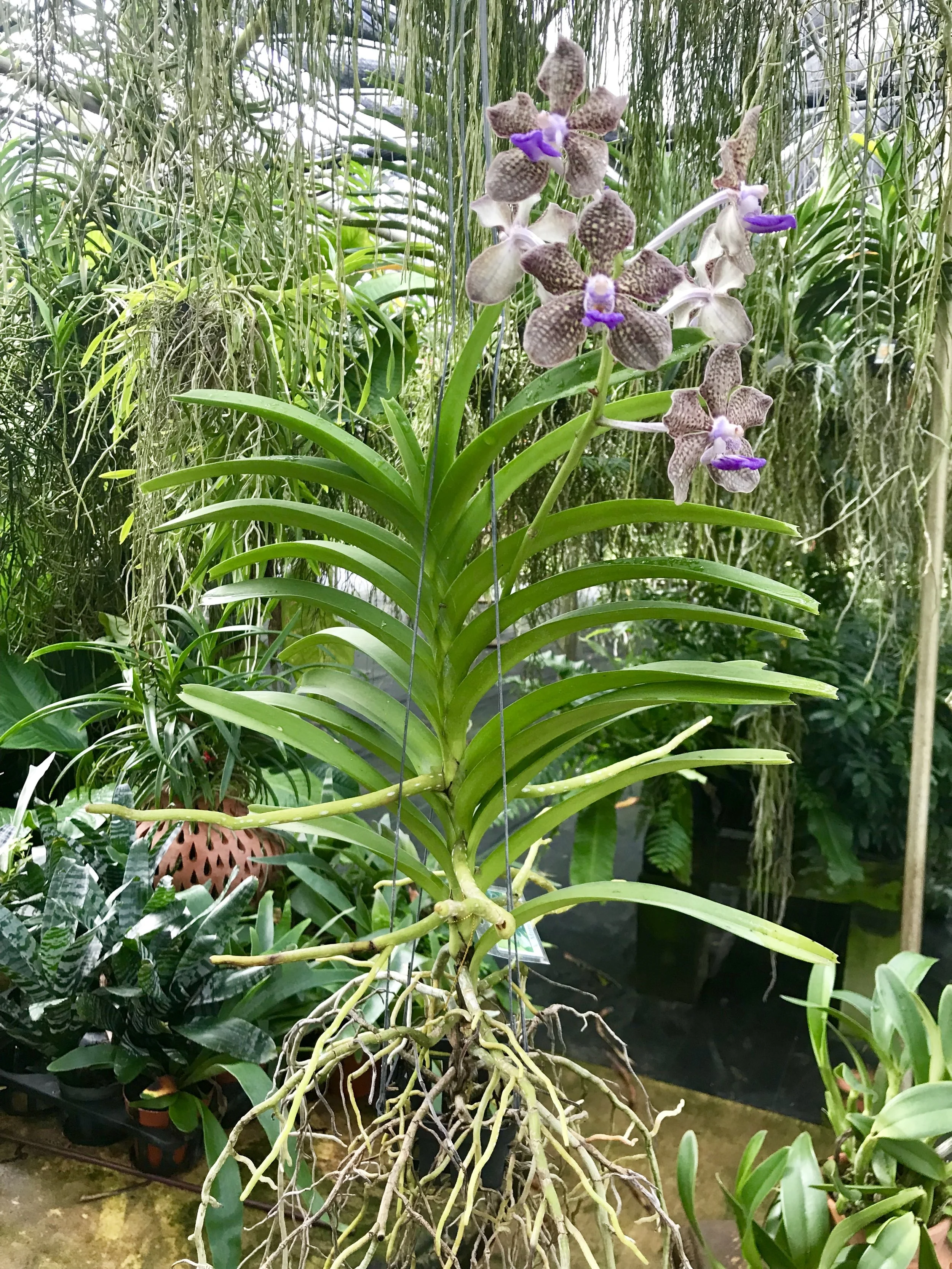 45E42CA2-BF77-48CE-B014-8584048BC0B3