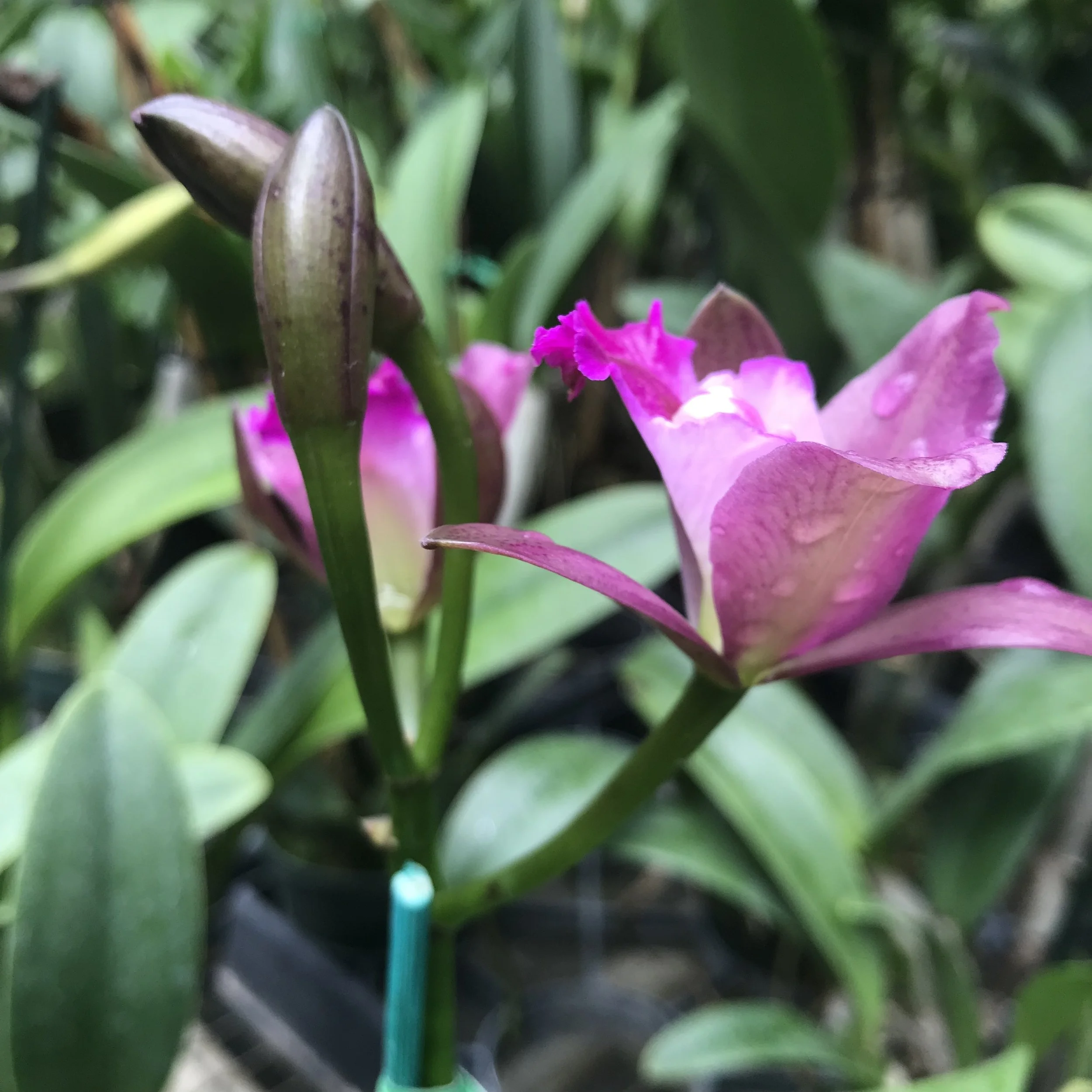 1957FE5D-B922-4DA9-869F-601A88AE0D7D