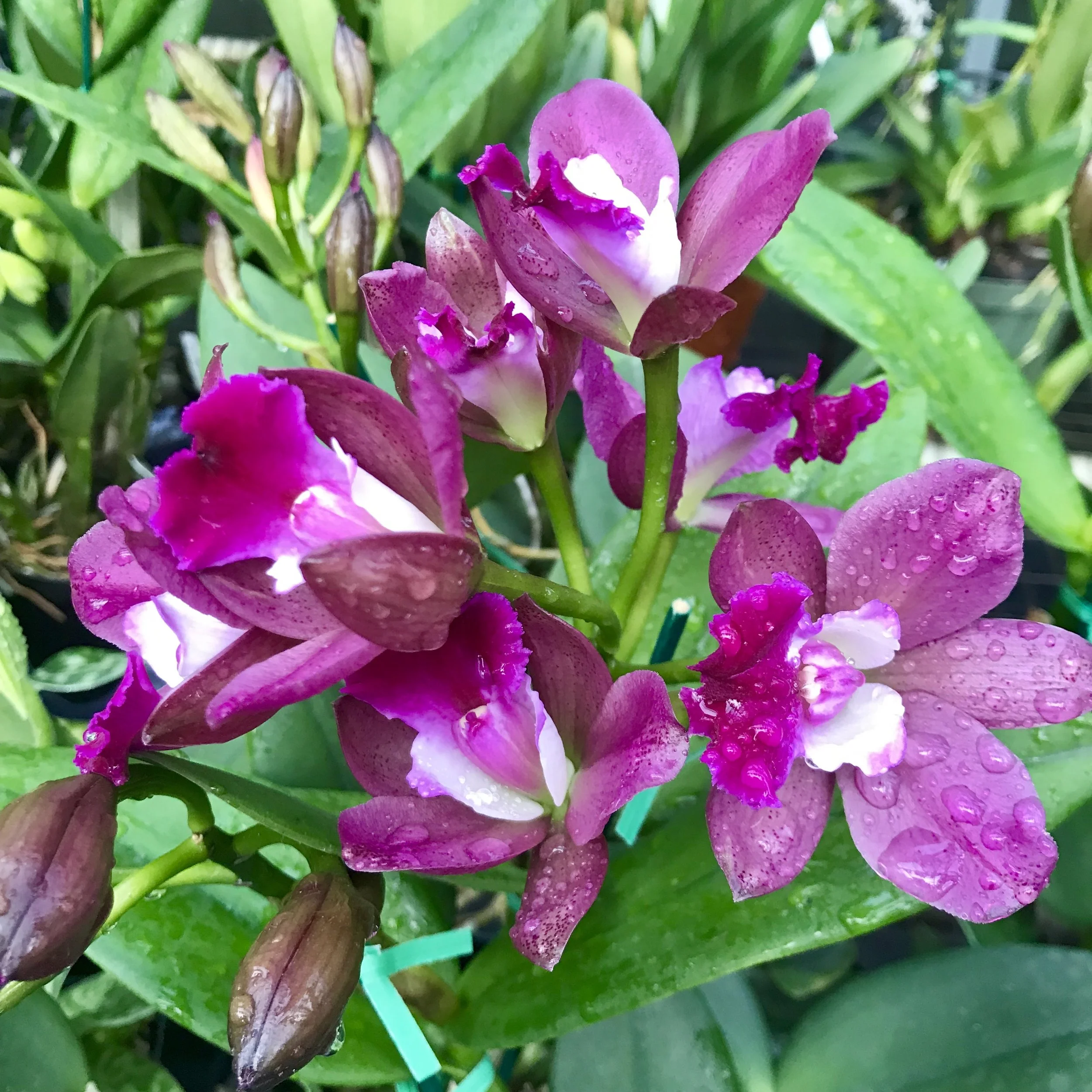 2150744D-844B-4187-9DAB-E59513B115E6