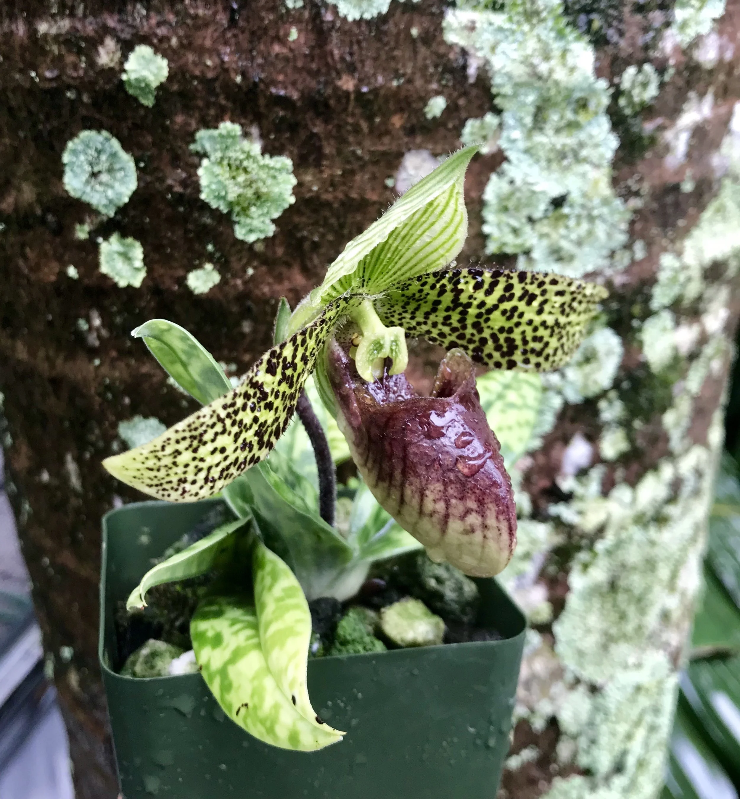 5A4FCFD9-9C43-4A71-A17B-DDDCCE466854