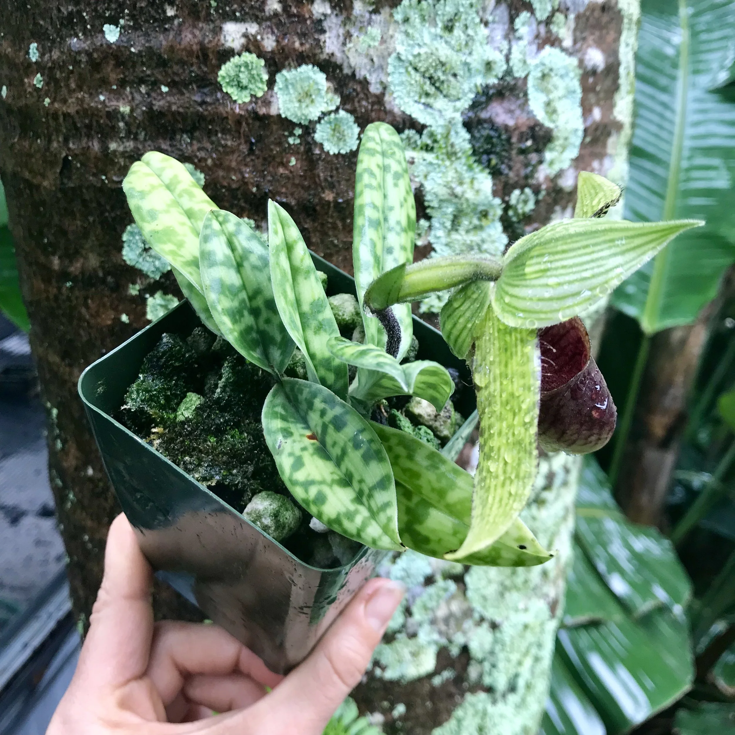 F123B938-877A-4E5D-BF07-243F15CE2086