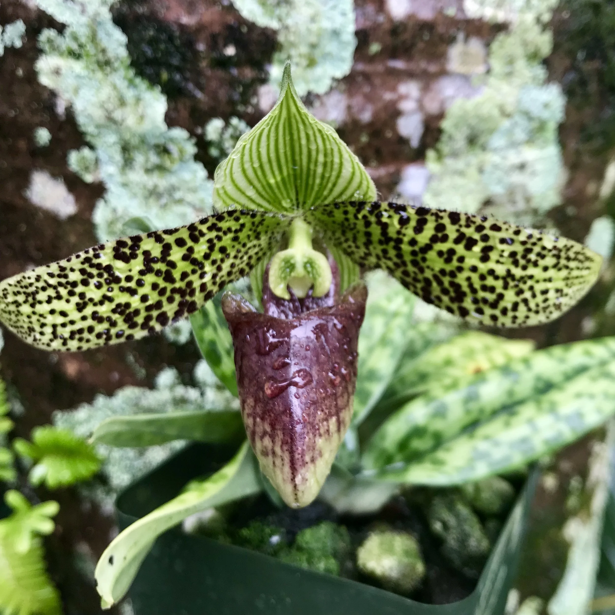 FF9937C6-1267-48B4-B6B5-40D8B5EB8599