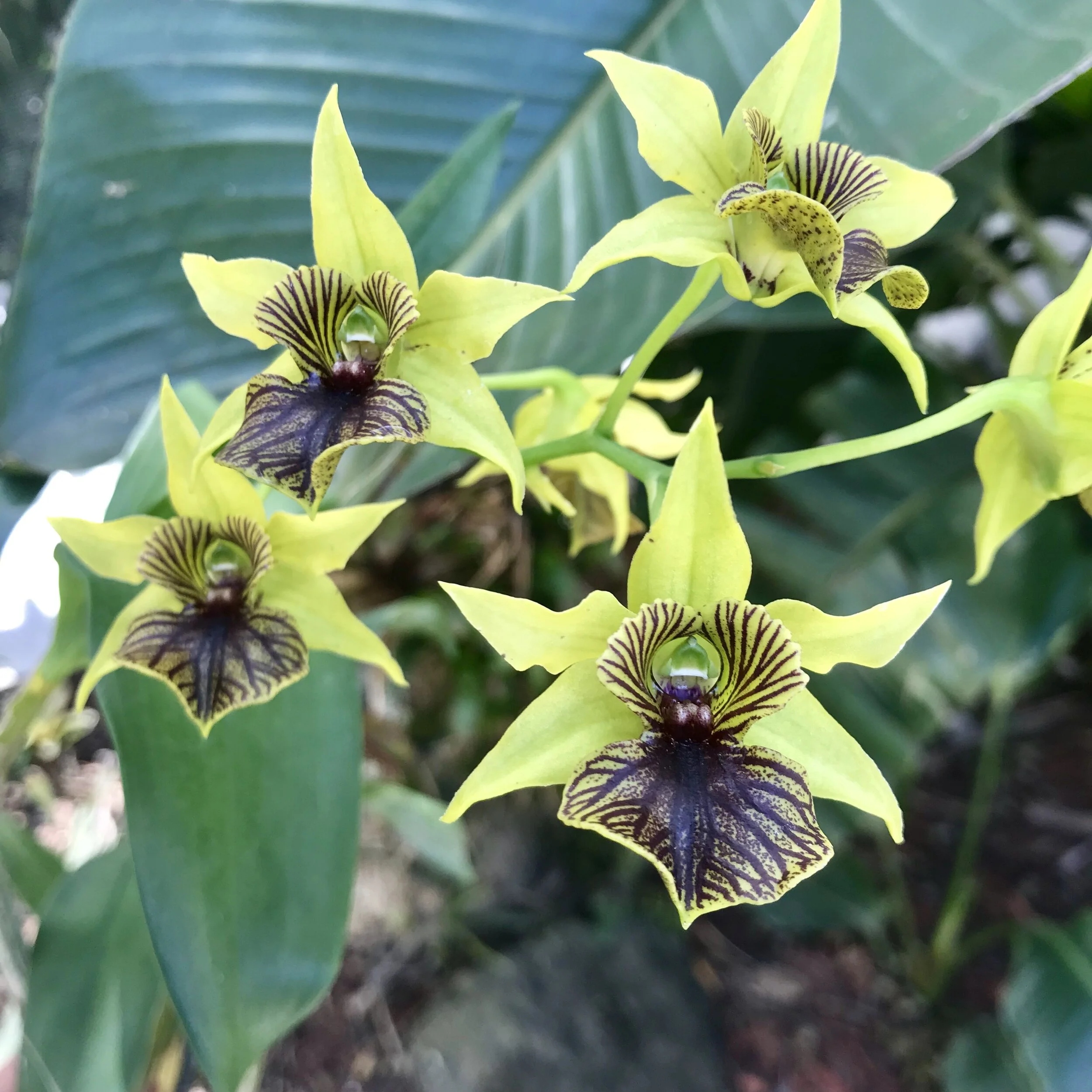 58F1C906-B493-4FA8-8098-1D6BD51C7A62