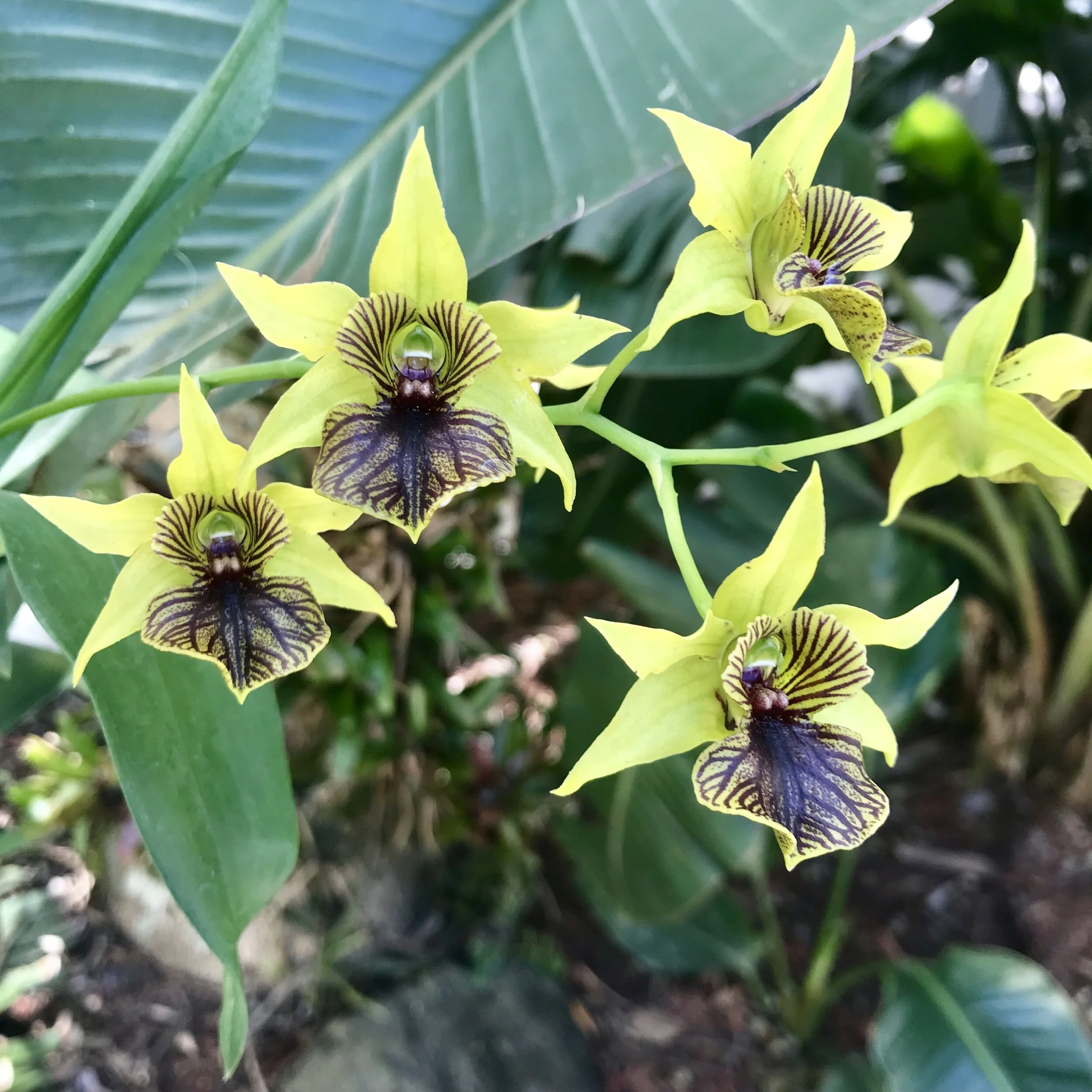 06626BEA-C513-4E31-804F-F6E104294B27