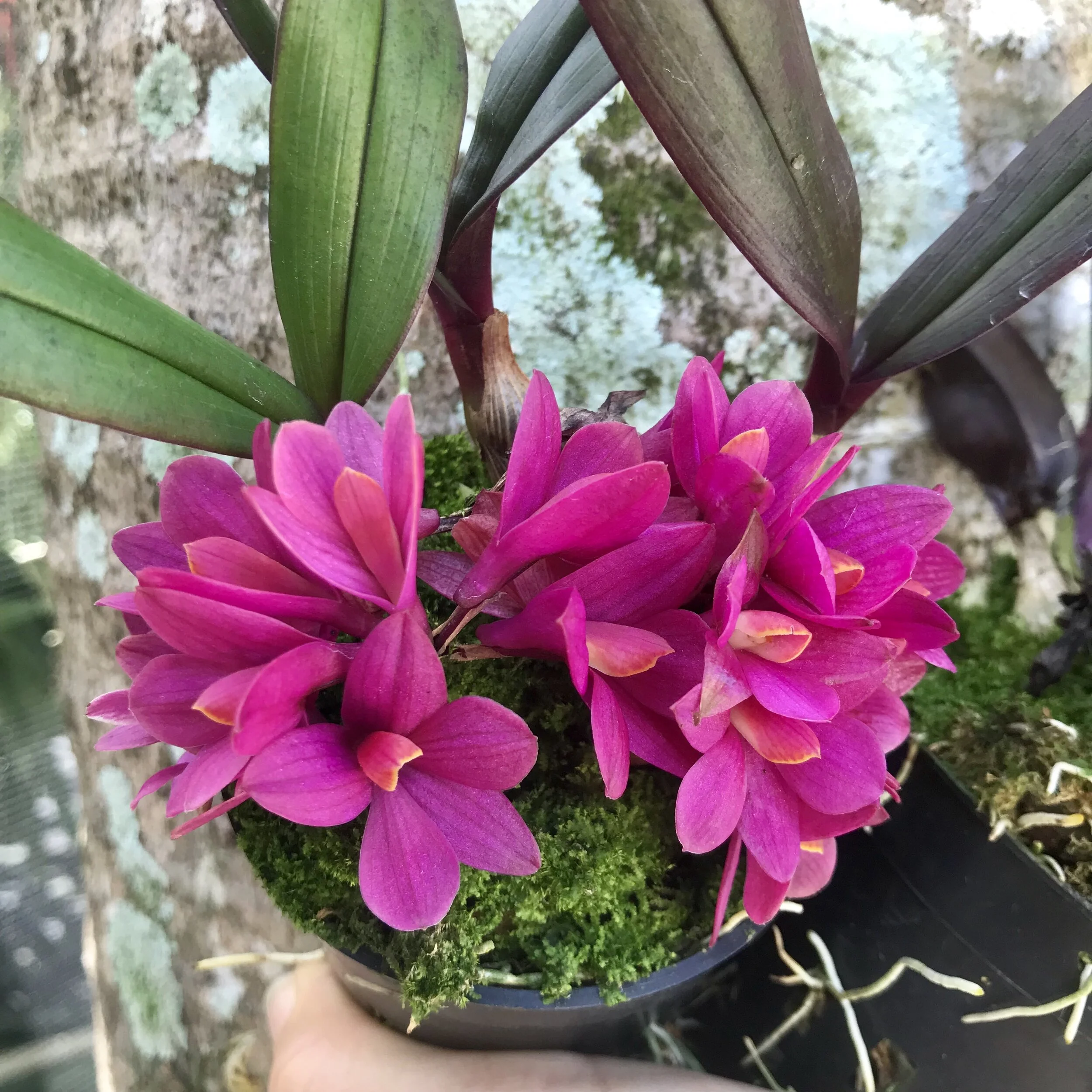 38362284-7160-4065-BC60-3D2B7B76B754