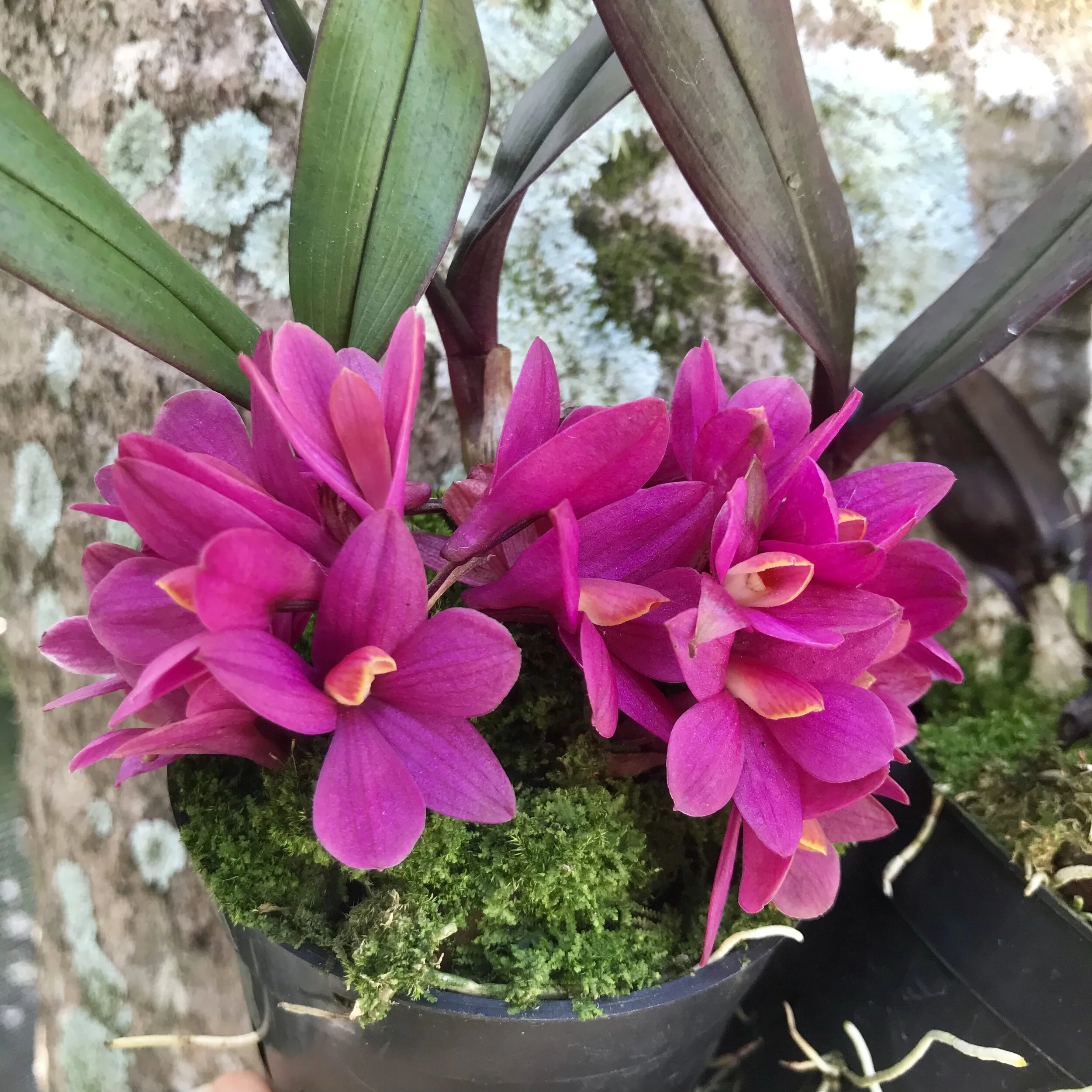 B7763BC4-802D-4D01-9024-FA179F40E3BE