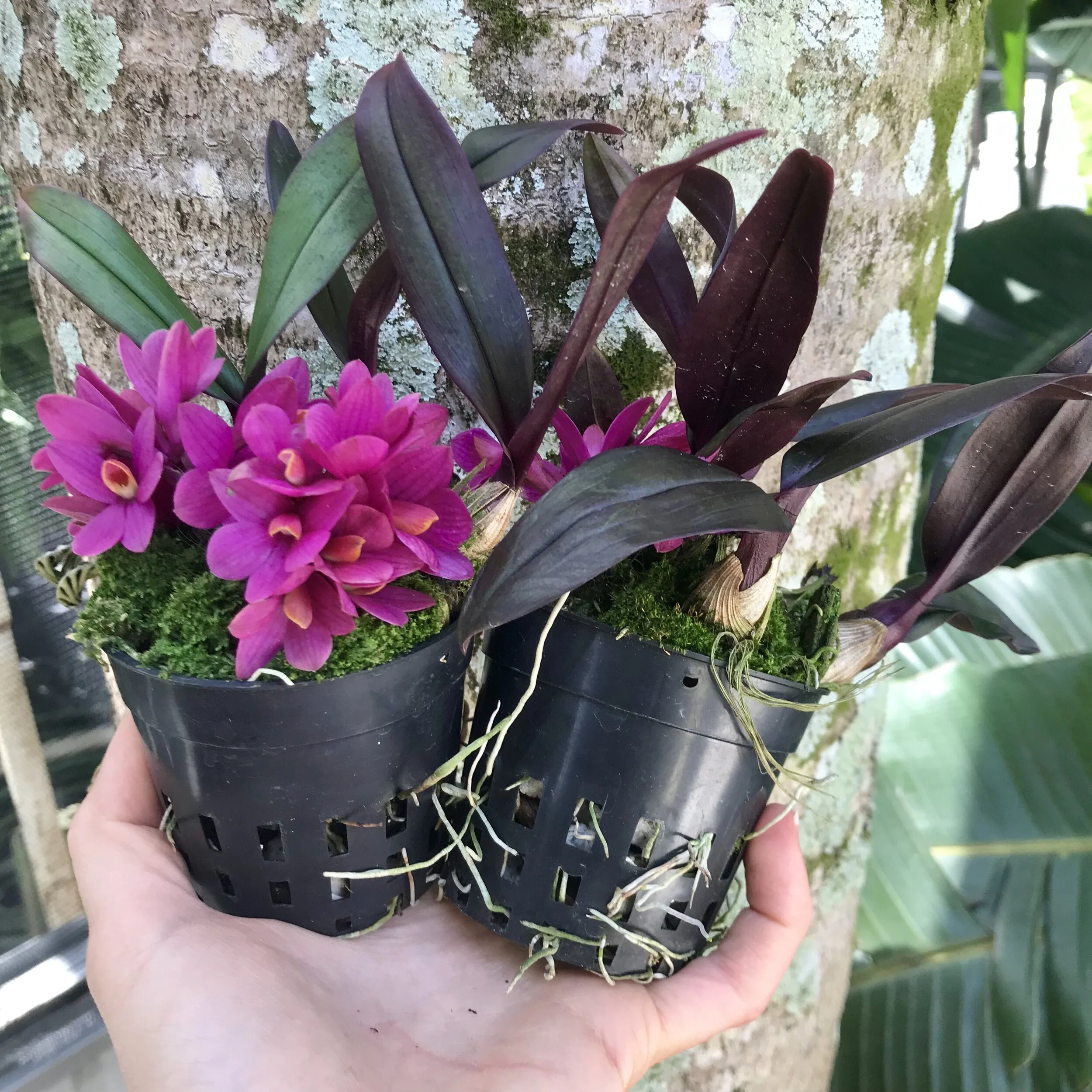 5CC850C8-BFD5-43CE-8A6B-9BB477A470CF