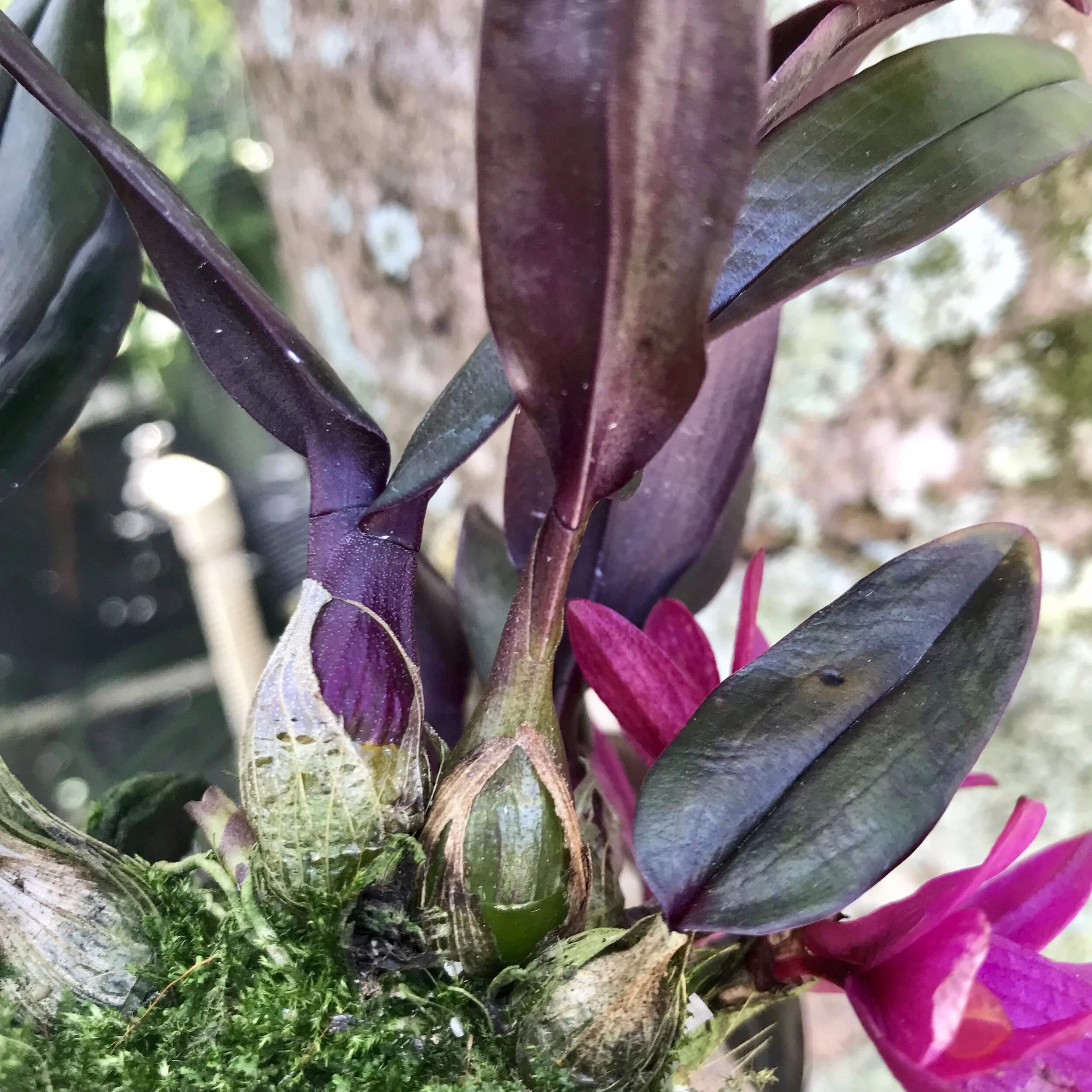 DF77951E-1BC7-4C21-BA3A-1C2F48CB18D7