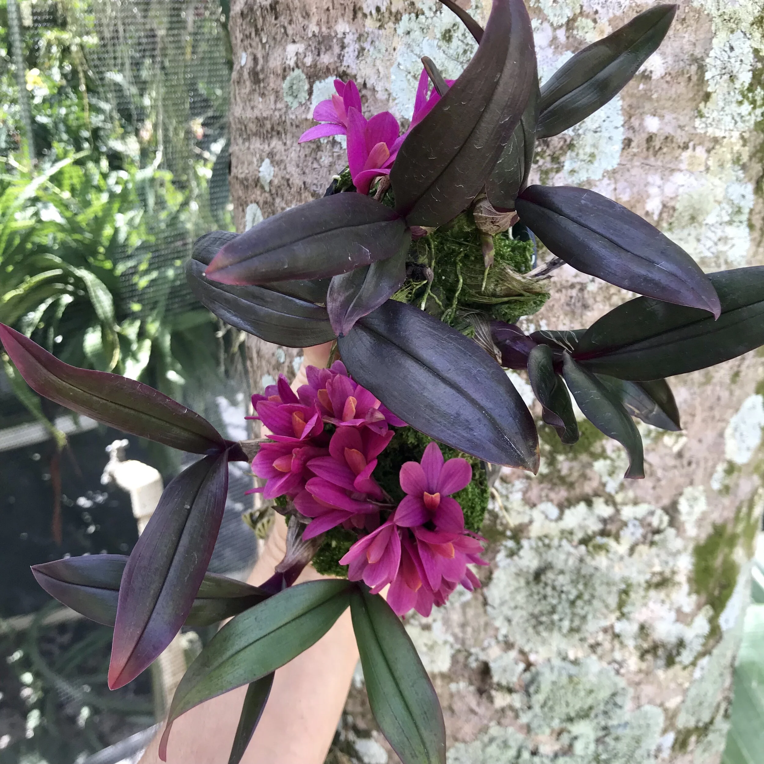 0FA92581-D7C9-474F-9535-CB3FCDAC5710