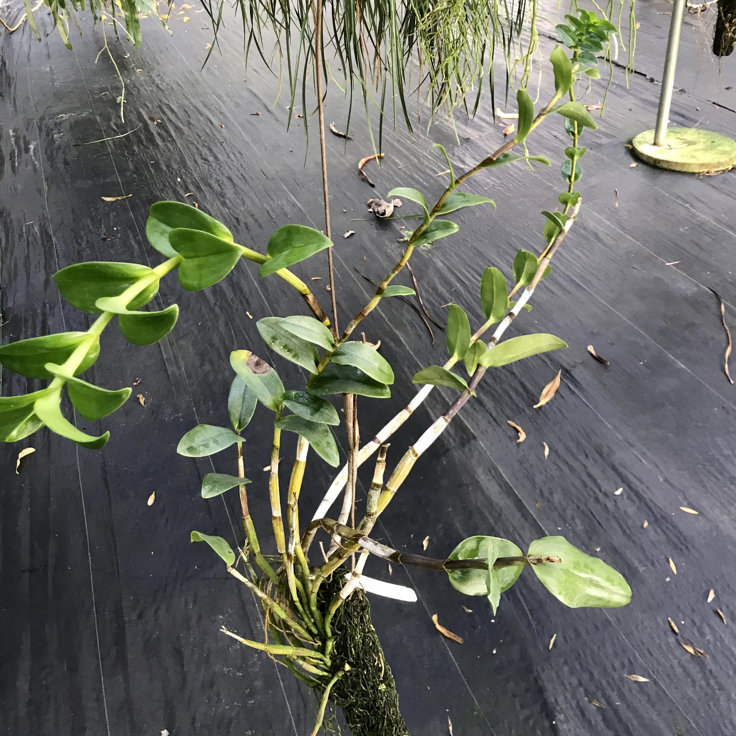 3C500047-D9DF-4F8A-A346-F9C43B673CDB