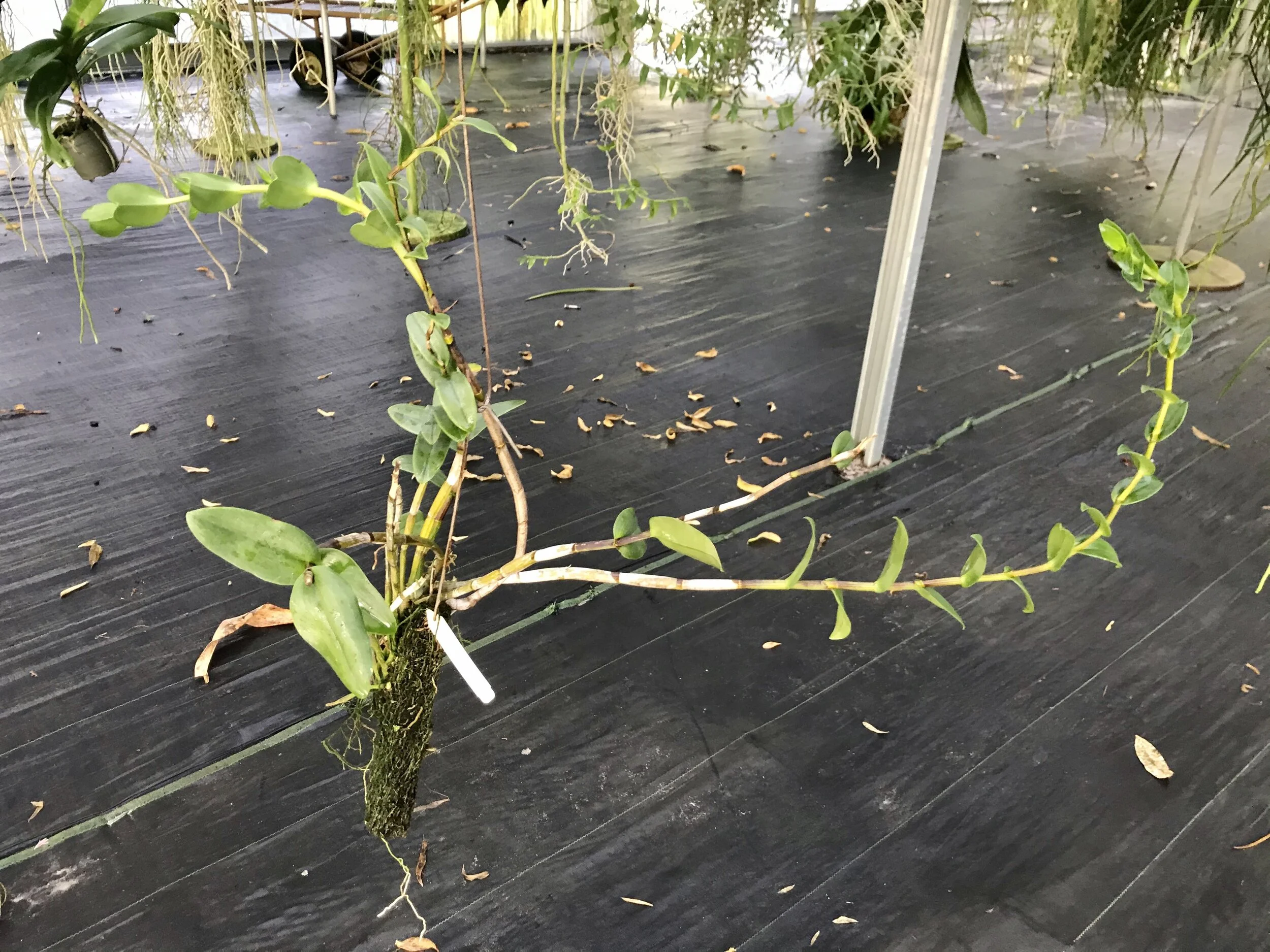 620E2A4E-A1DE-4521-BF94-6B08DAE4870F