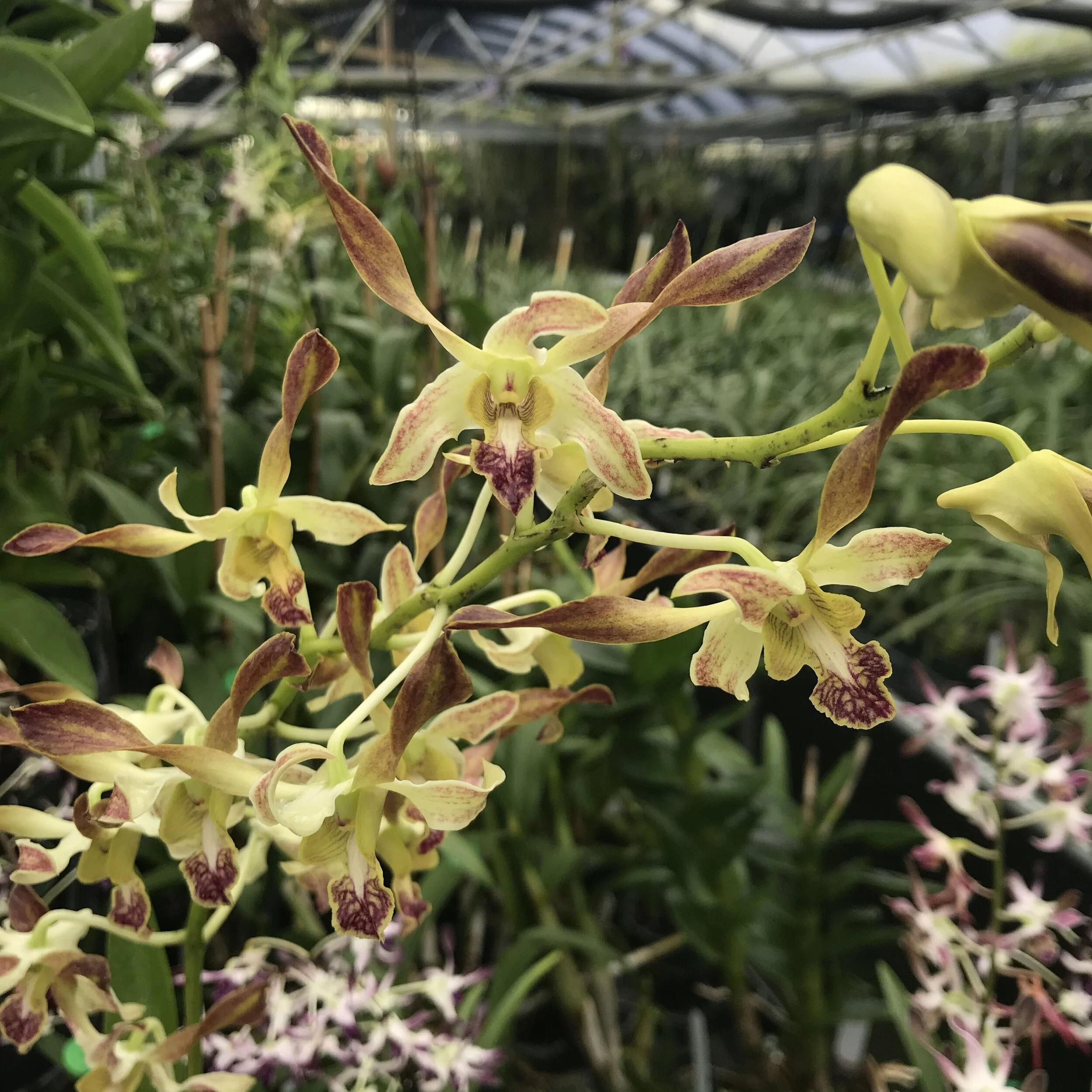 5378791D-0403-4C36-973C-FBAE338A1C4D