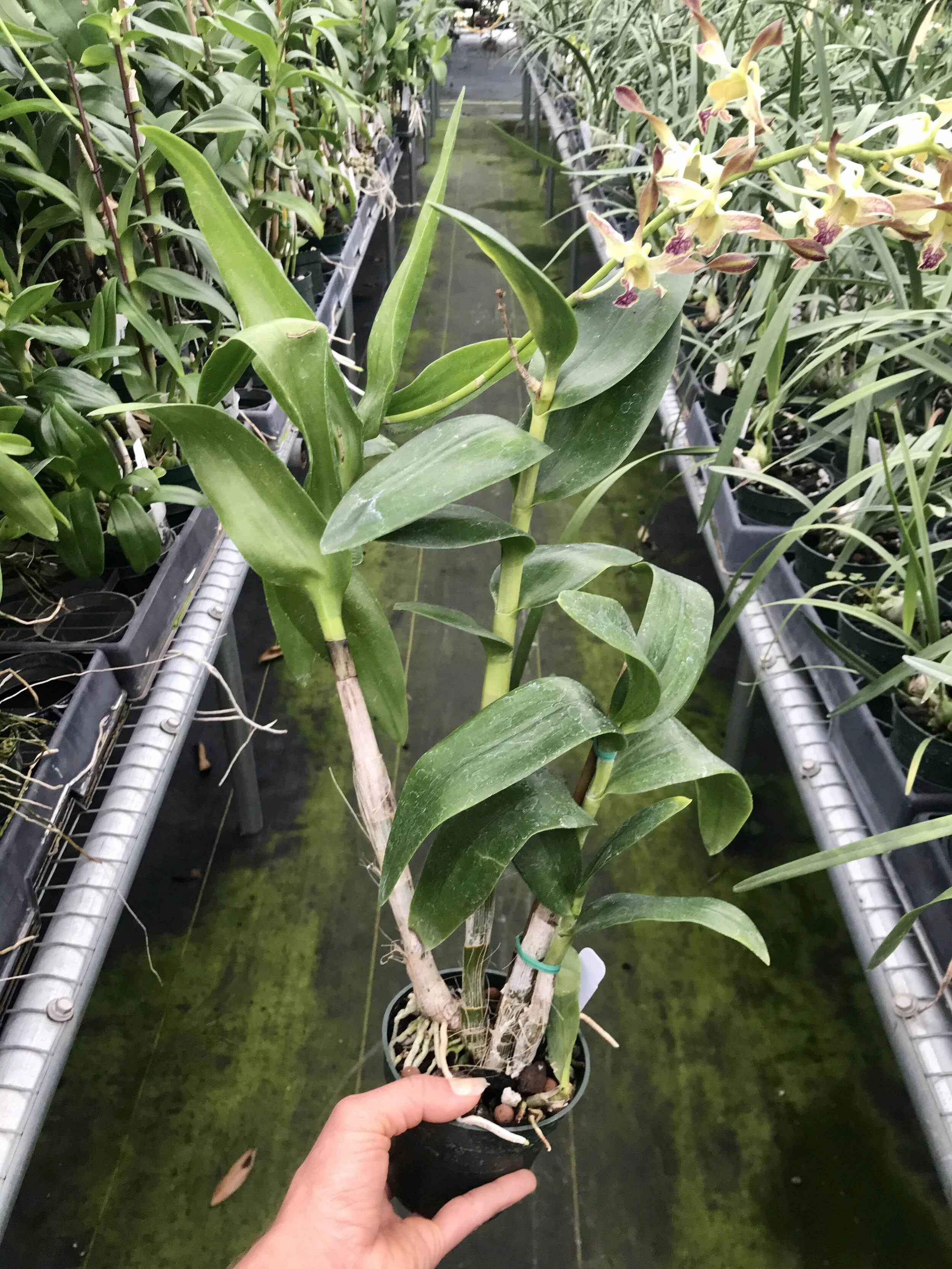 728925C8-1FE2-4882-B445-00B31518D0EA