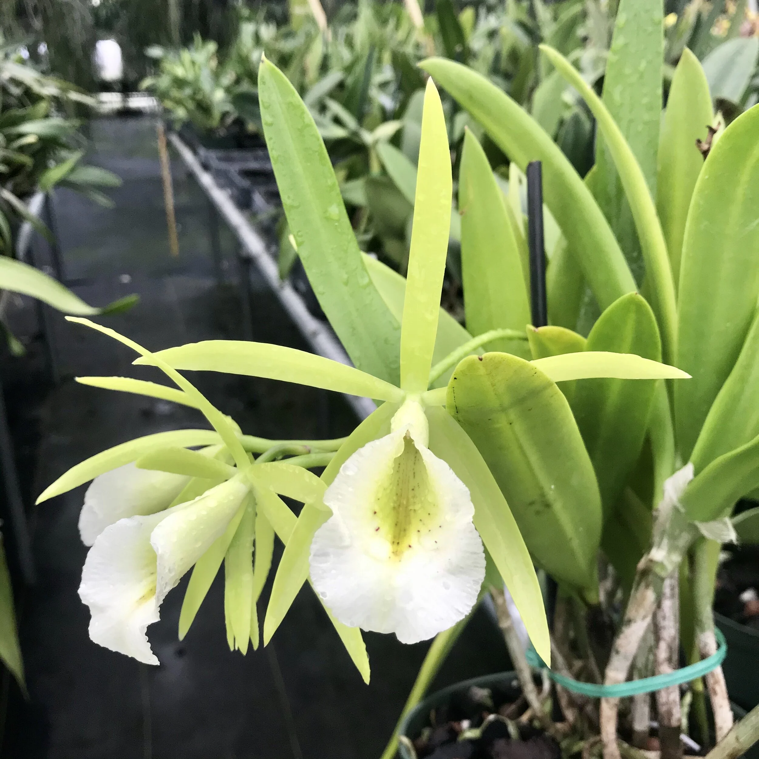 7CC6DB76-B4A1-4002-AF61-9930E876D221