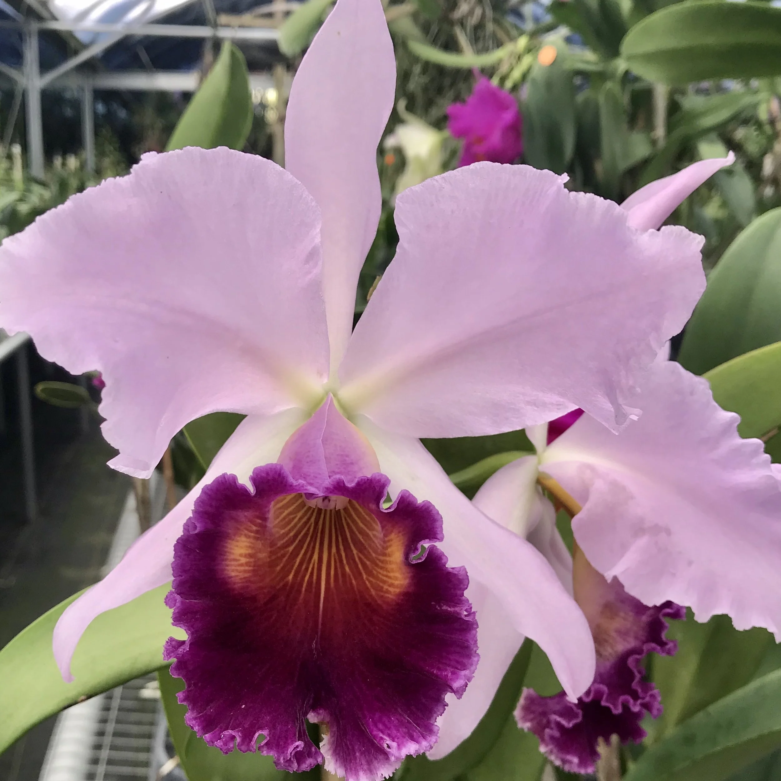 7776D714-4AF4-461A-8DF4-3897EEFB5071