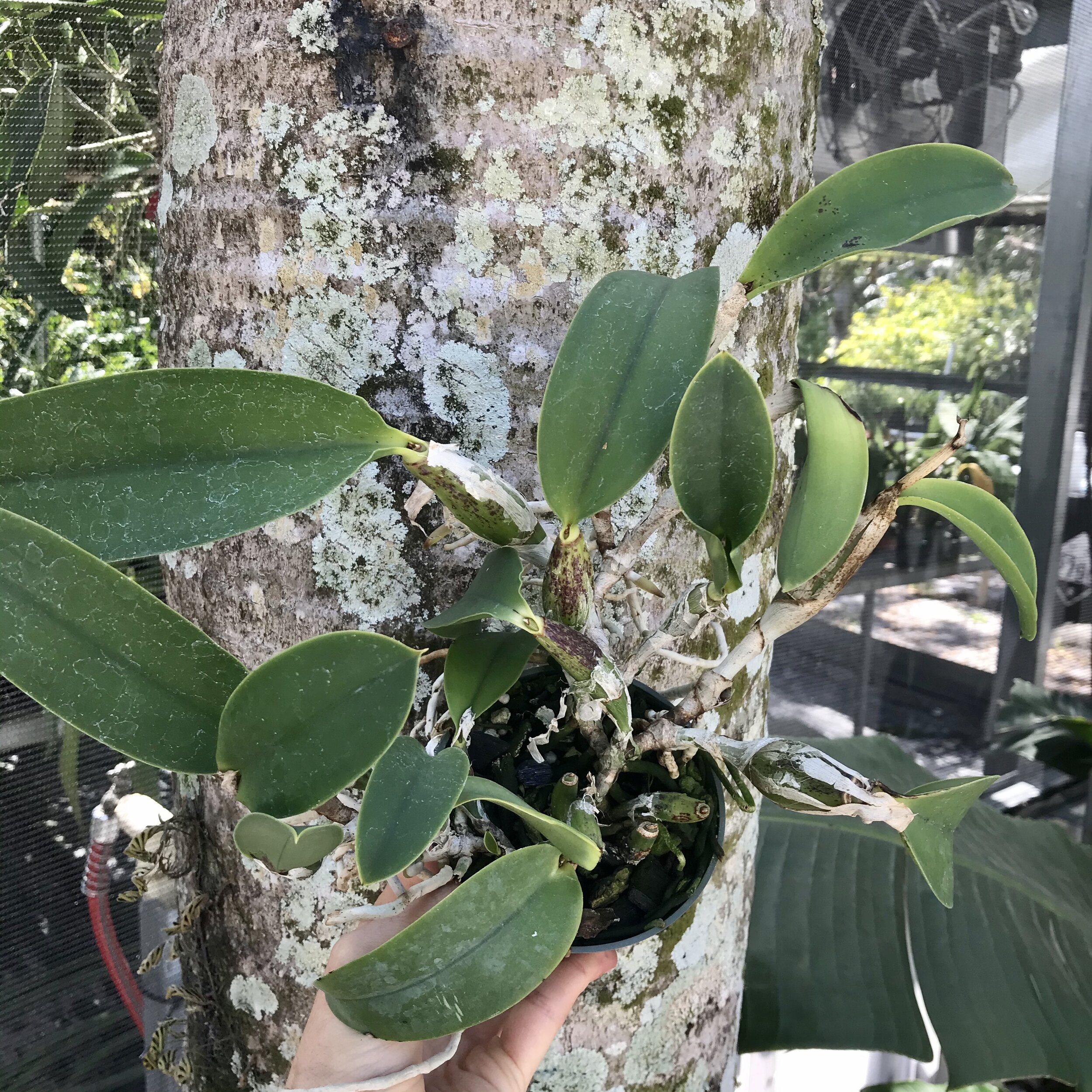 5160F6D5-408B-40BB-87B6-820679274DD6