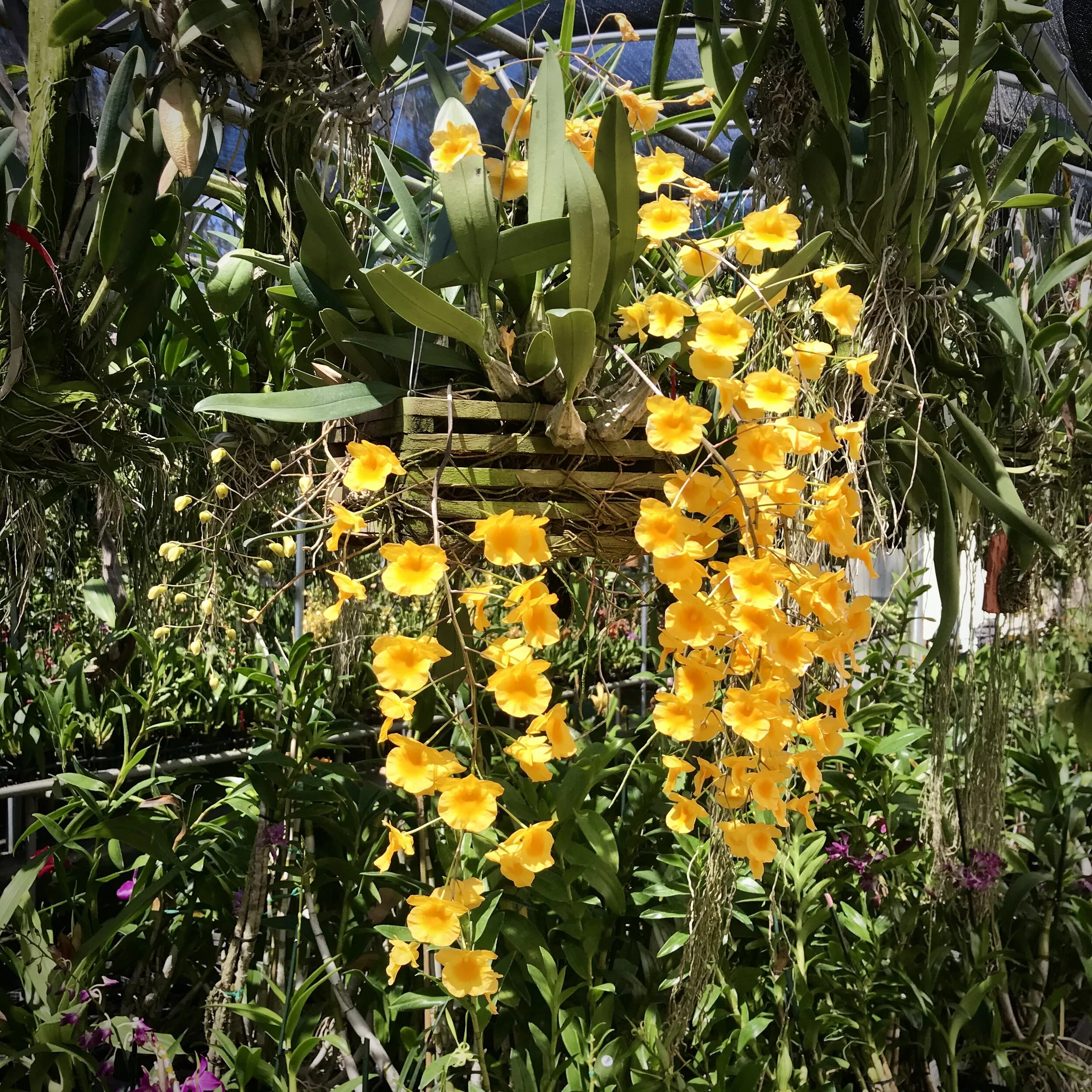 7478EAB1-C0DF-4FAA-9701-7BCF6A8E34D5