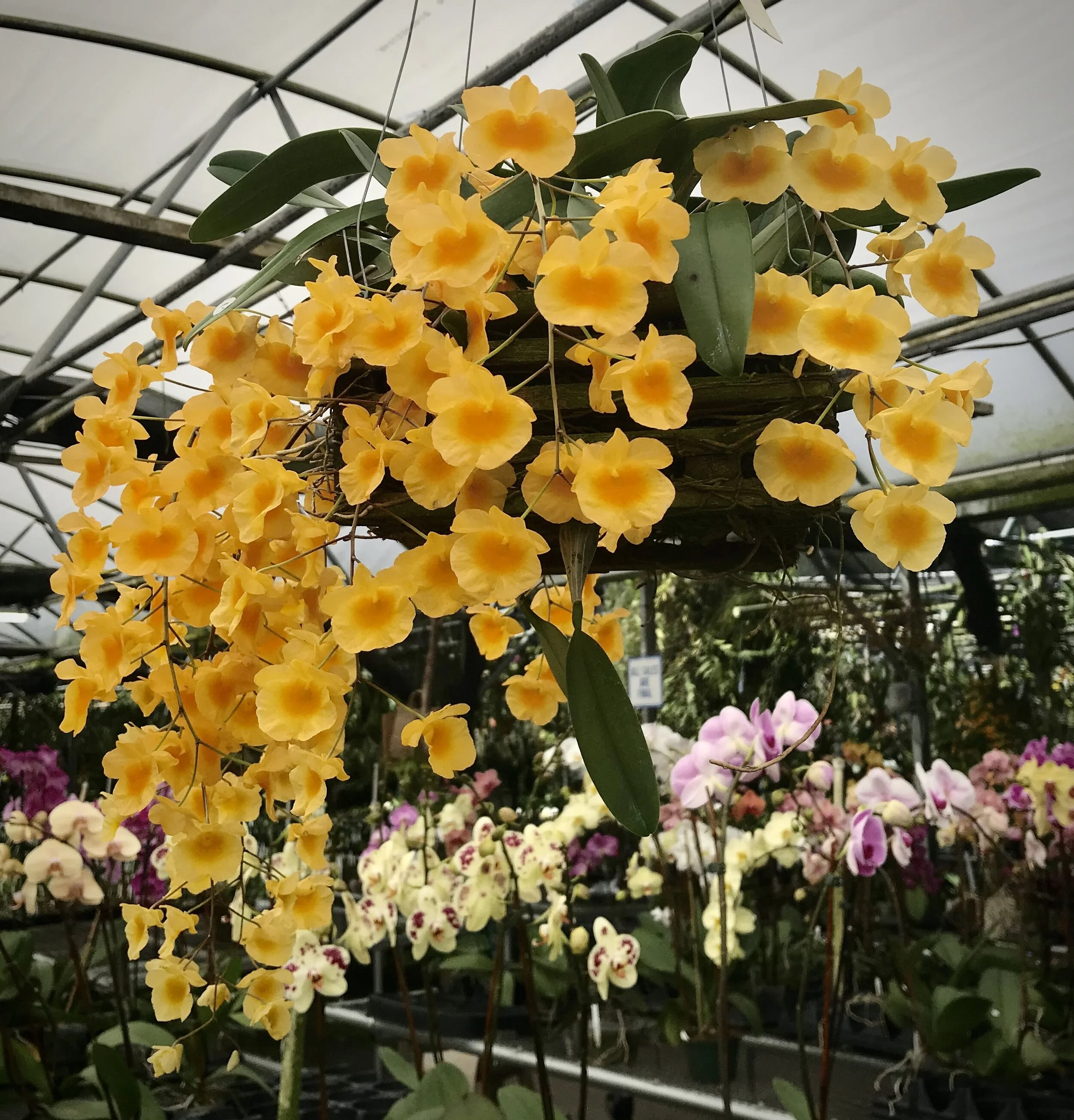 595FB8B2-9FB9-45D2-AFDA-600E460B1CD5