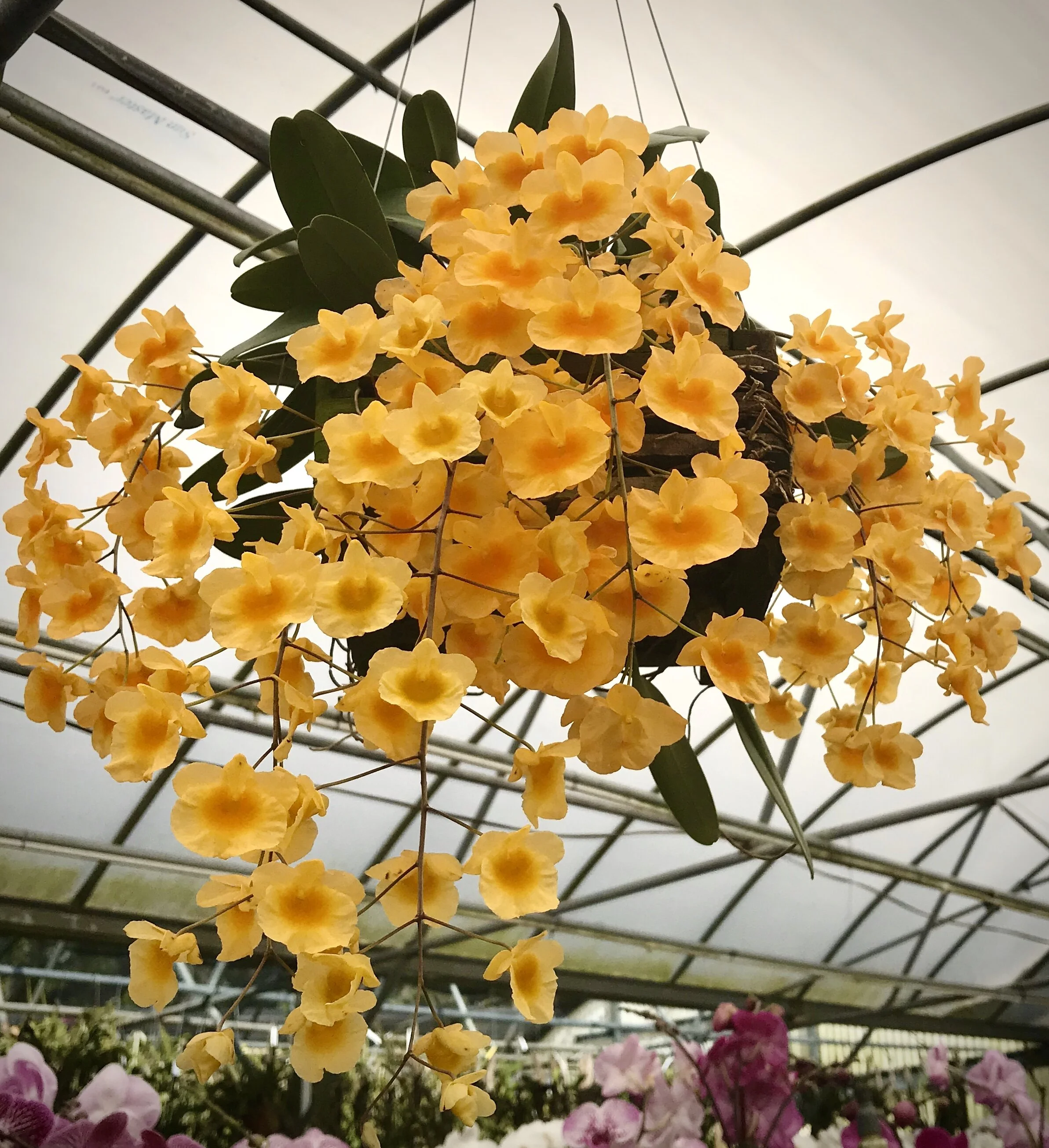 44FAD6B0-D738-4FAD-ABEA-84373308C09A