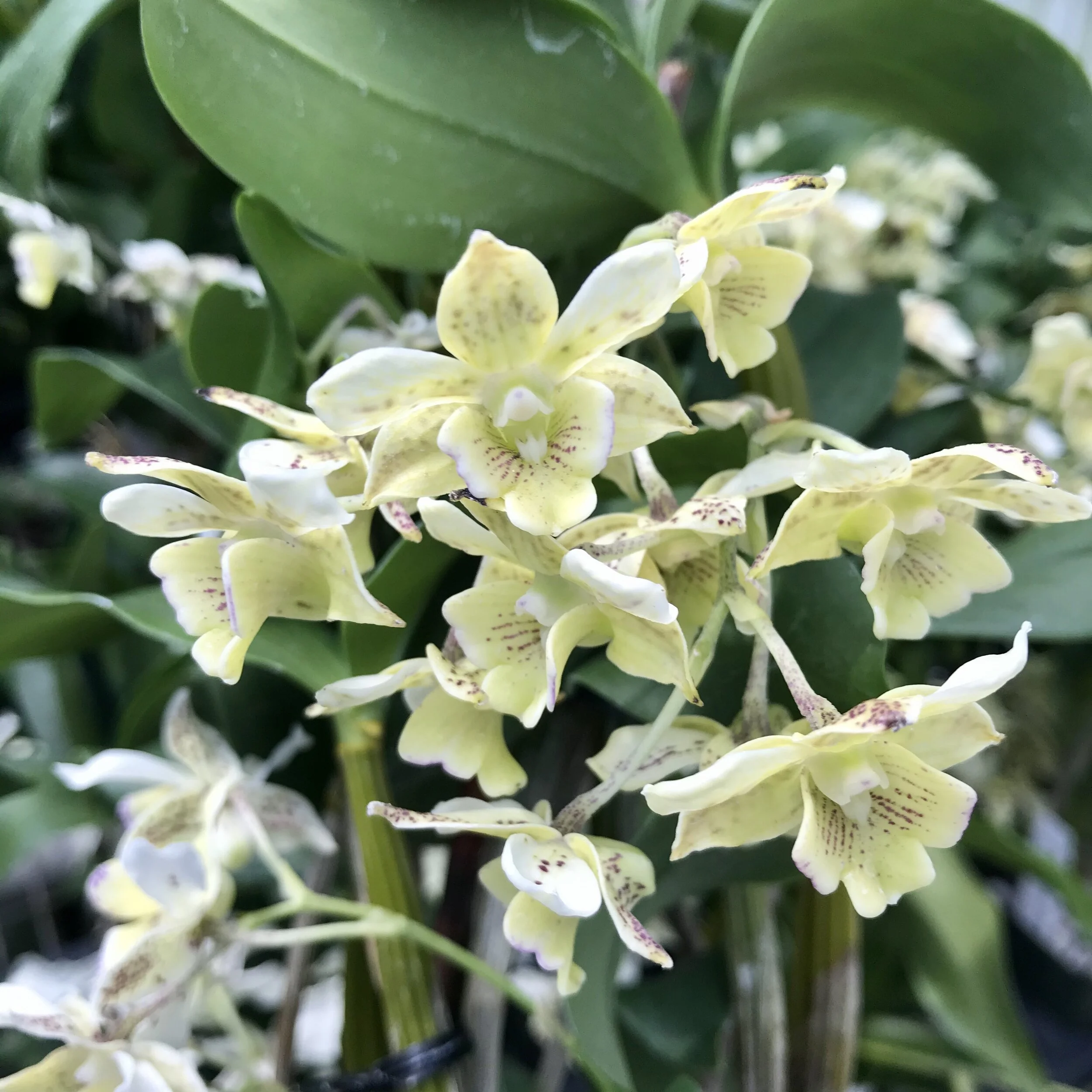 D7F813E3-488C-41BD-90A2-4019087BDC68