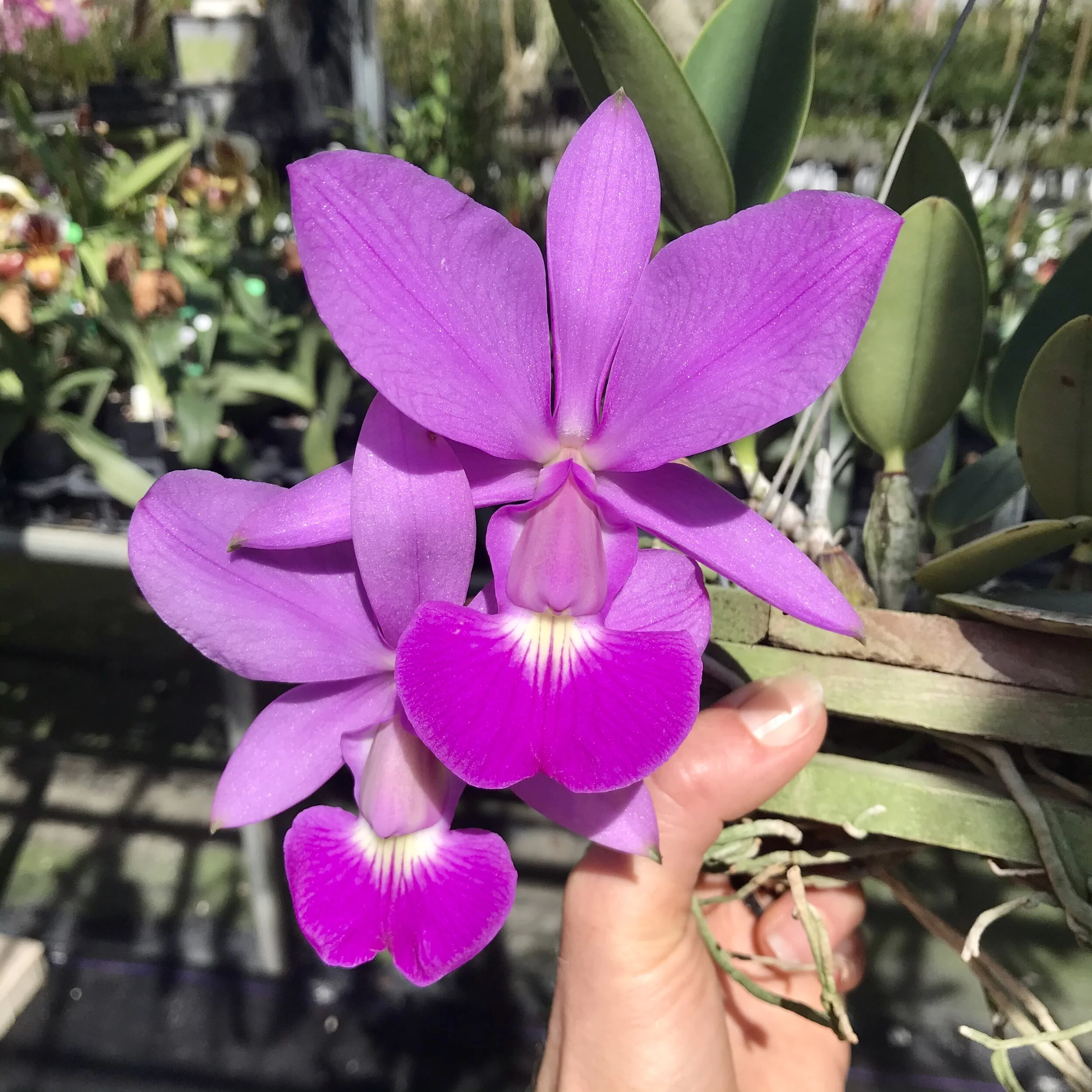 5EF78FAB-EA00-4B73-86D4-7C34ED7294A1