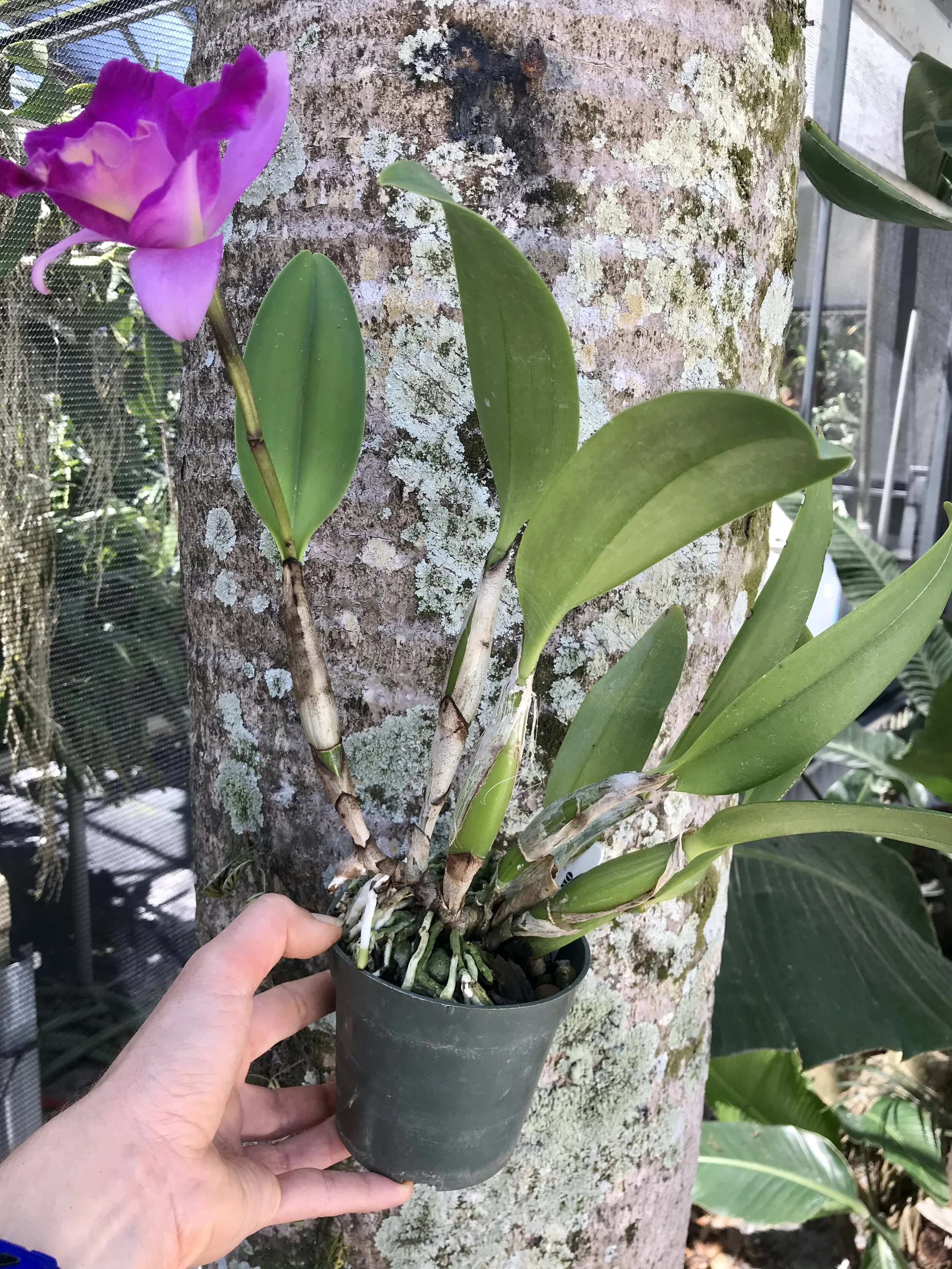 0EFE1E87-A86A-42DB-A725-C31C5DCC11A1