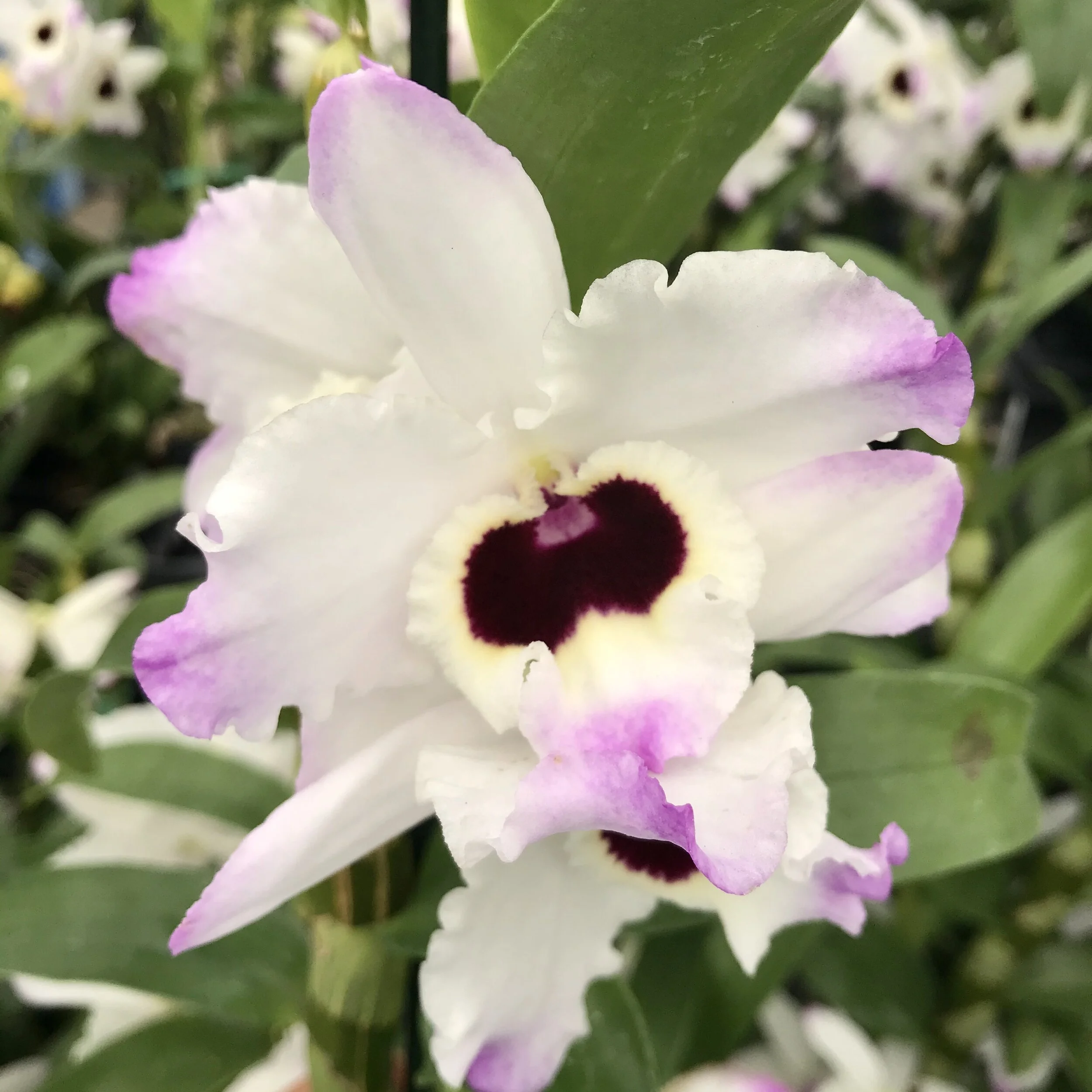 FF35F19A-6CA7-4104-A9FD-6A744692BE2D