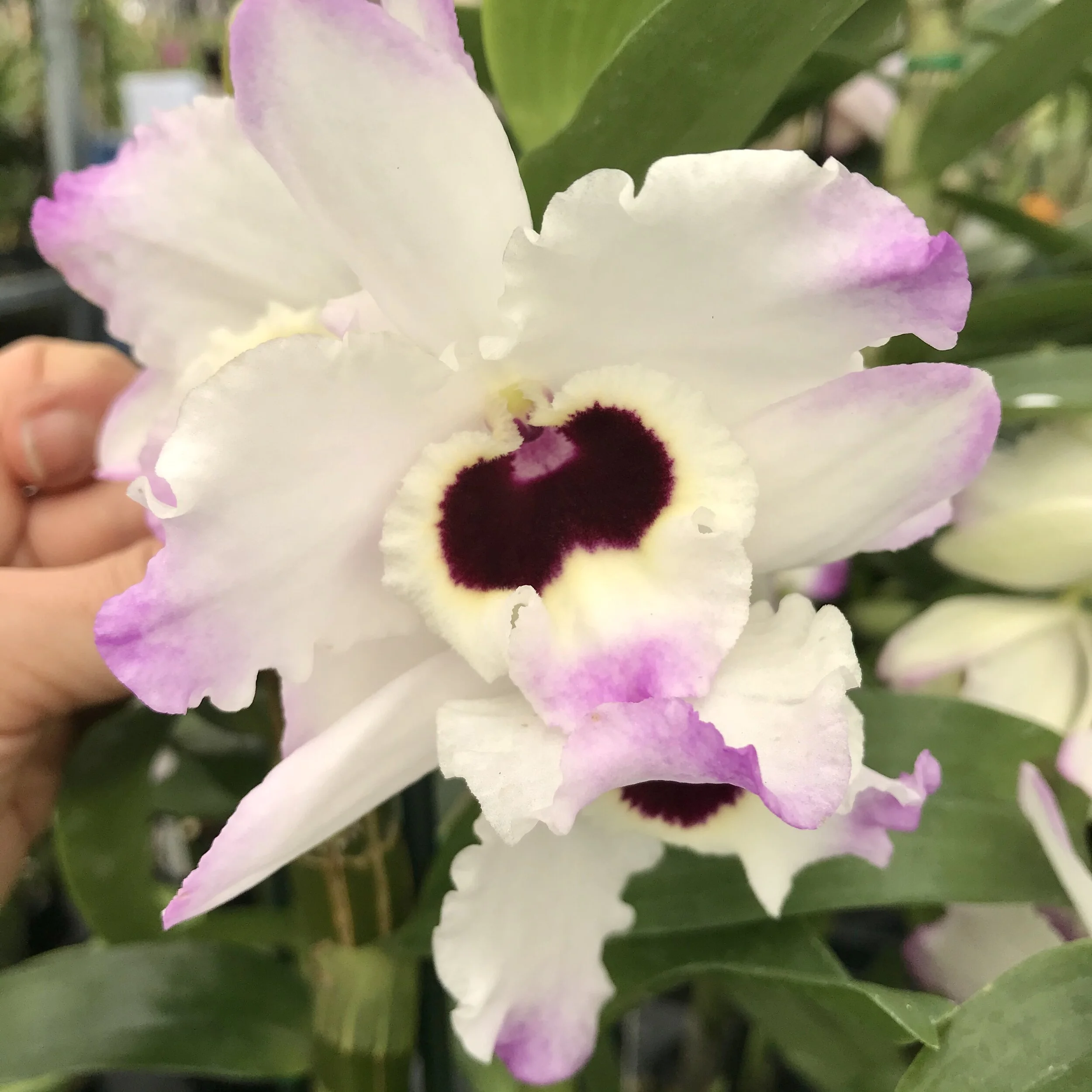 2CC25CB9-B8B6-4A5B-A5E3-372656FF0ABB