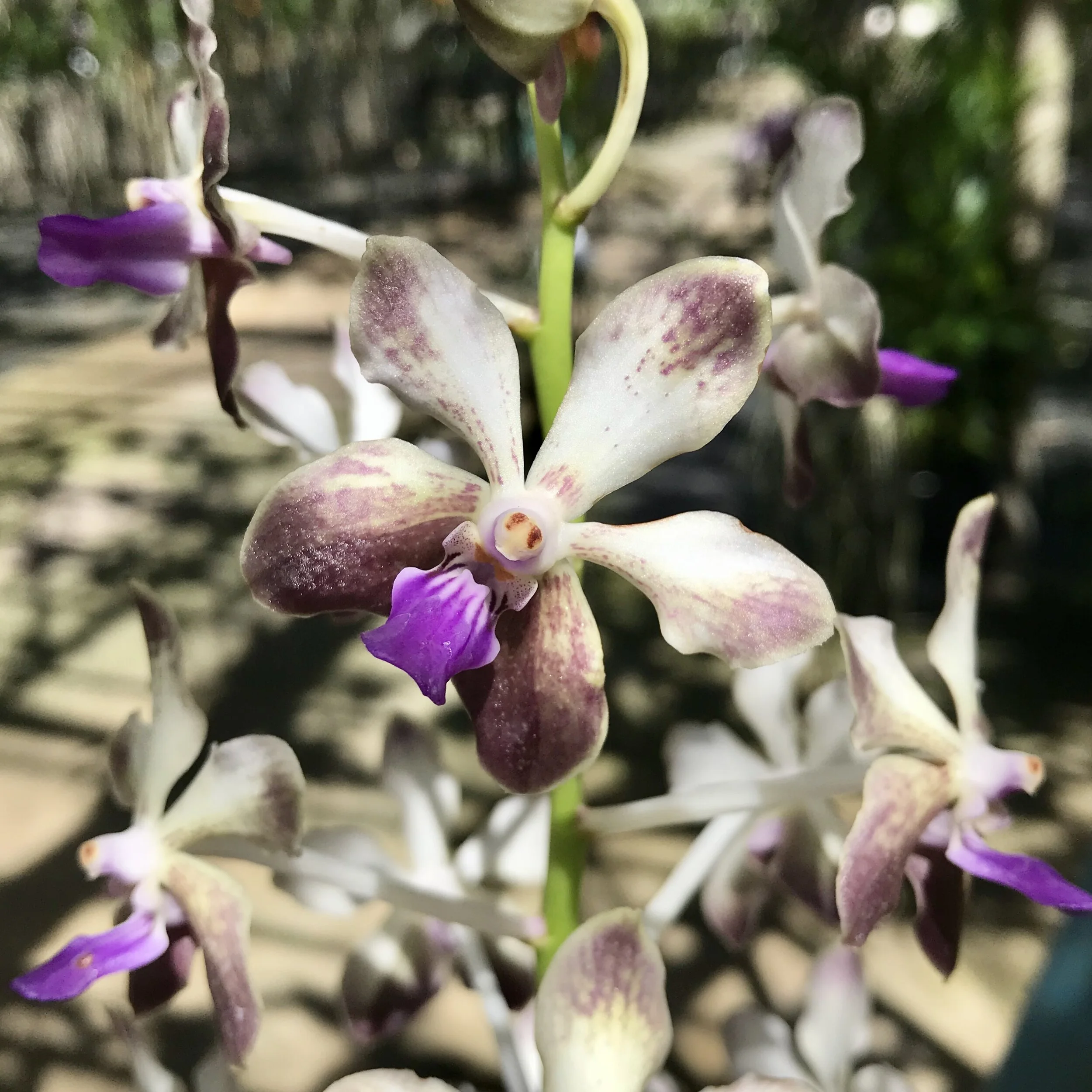 C2A1AA15-02D1-404C-82EE-9384E10E2050