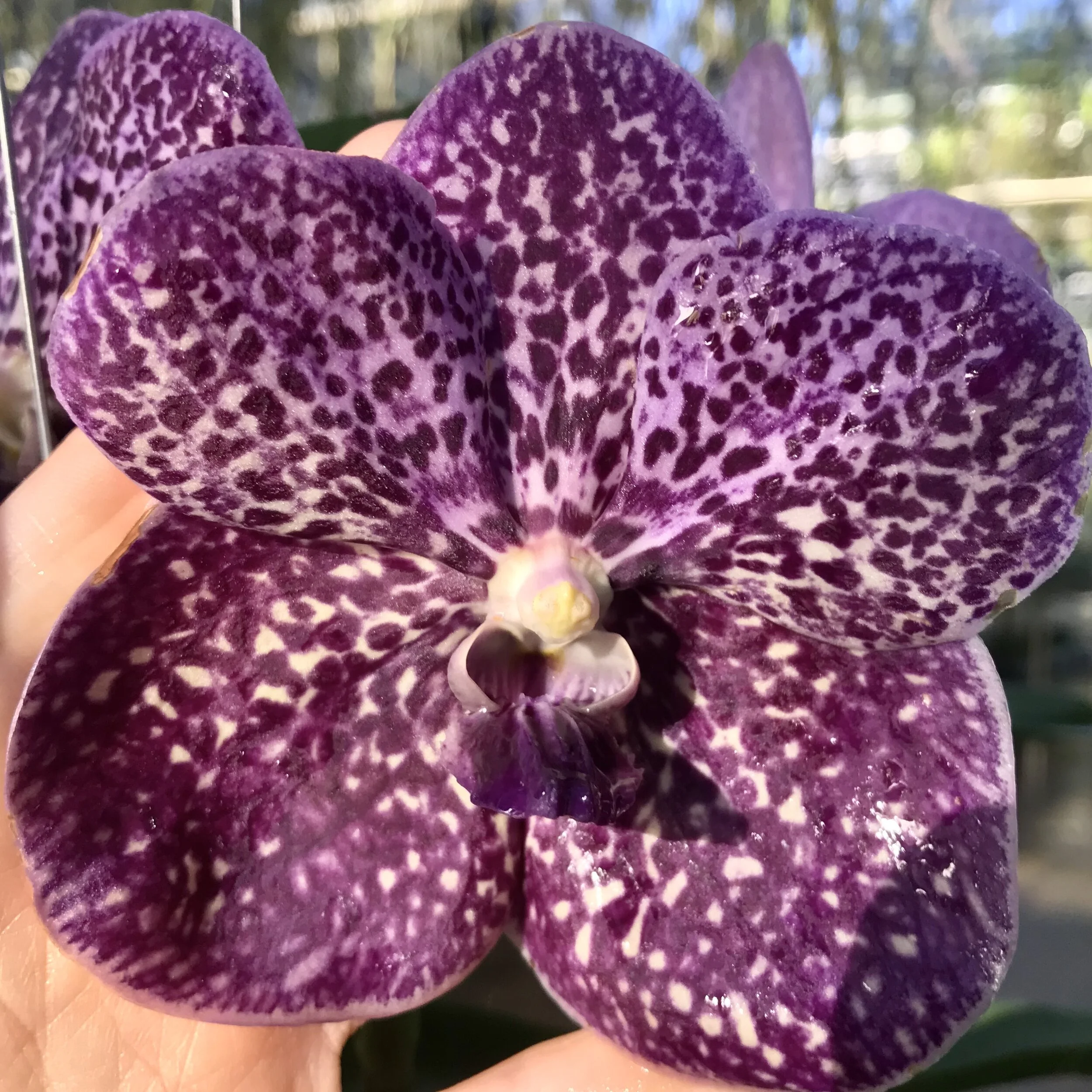 895ED445-DB74-4E85-A03B-0620893F0A68