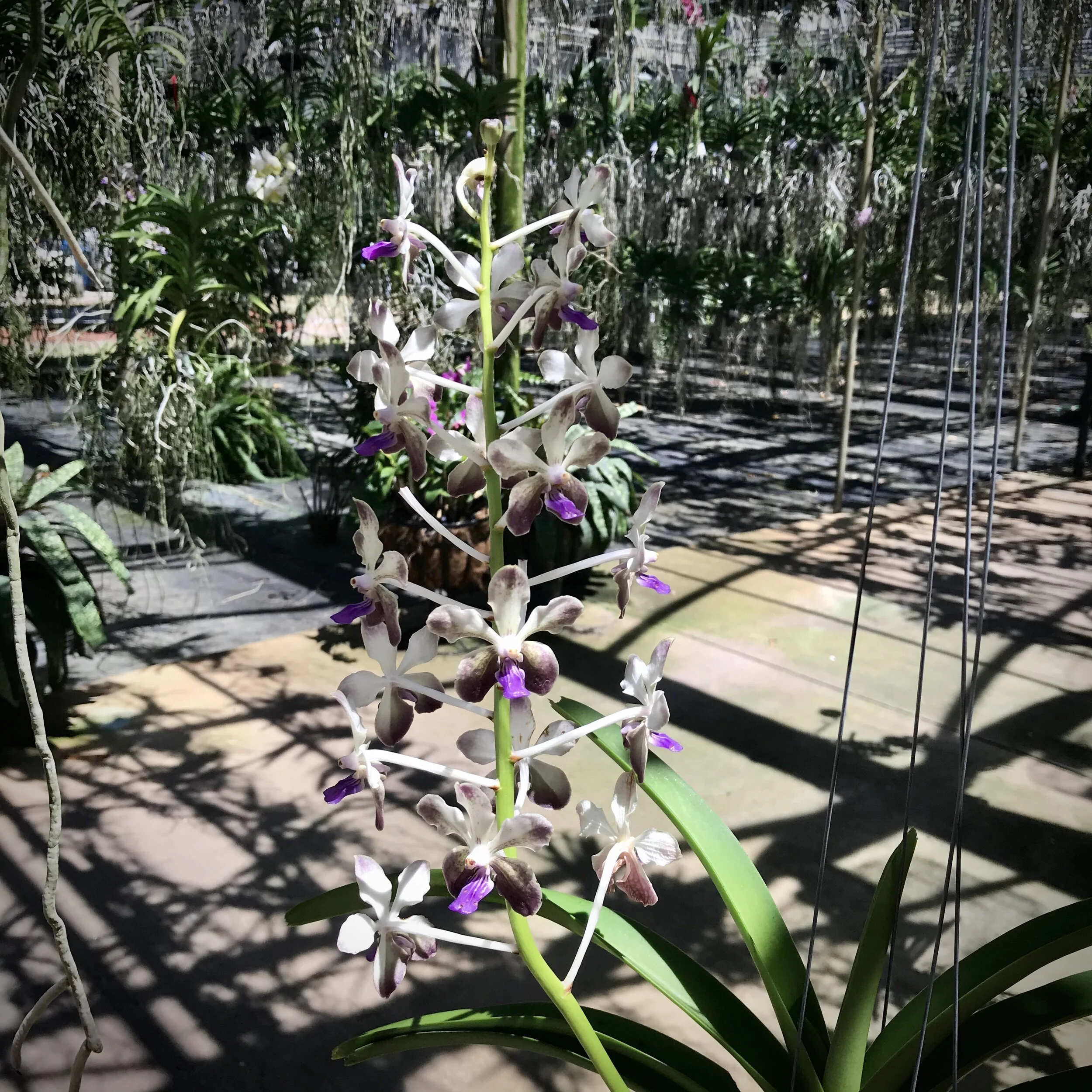 0764324D-42D4-4BA0-AB80-87367DDEA5CF