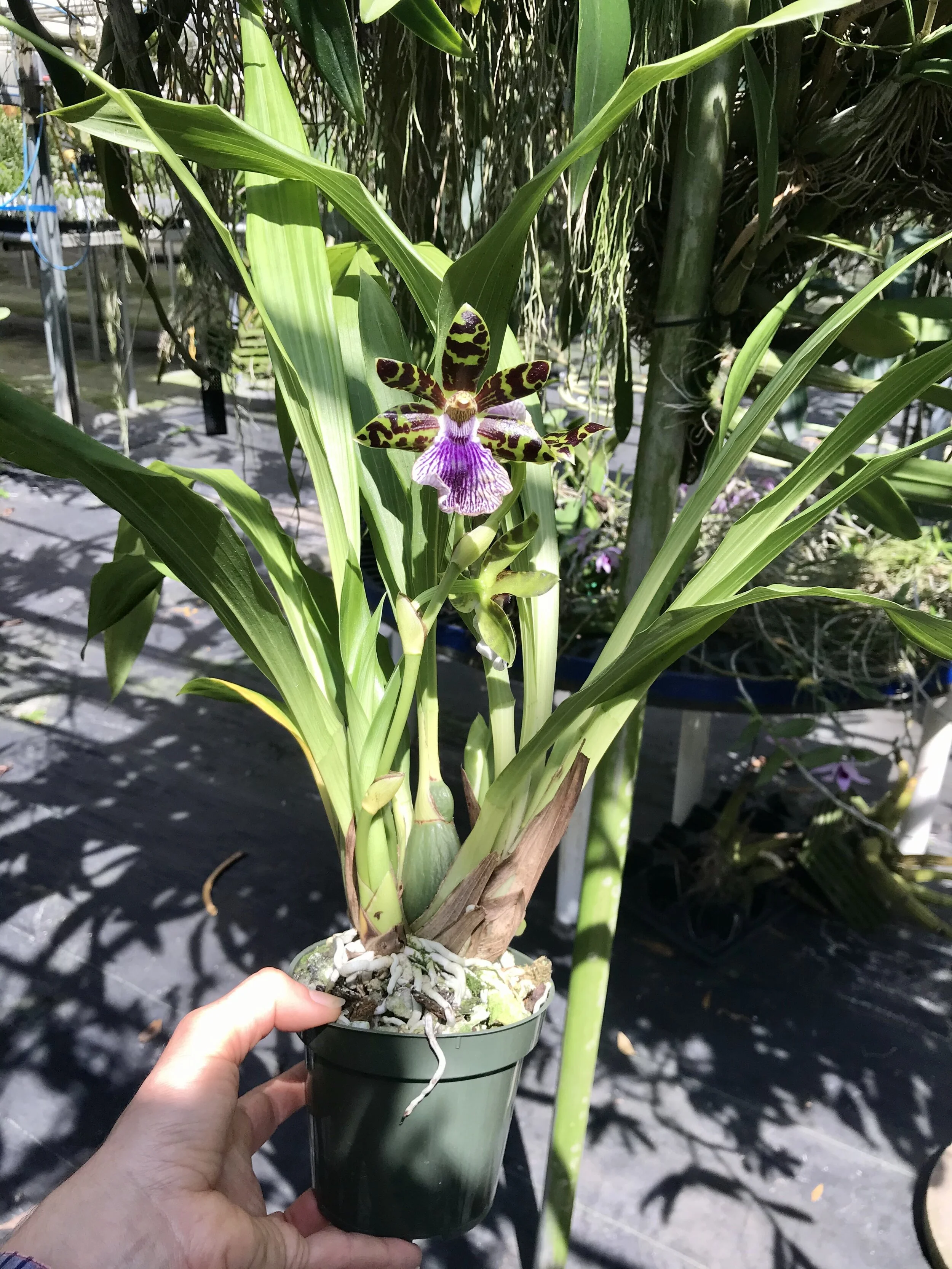 17AF3639-0C38-40F8-A1E2-1211D59C603D