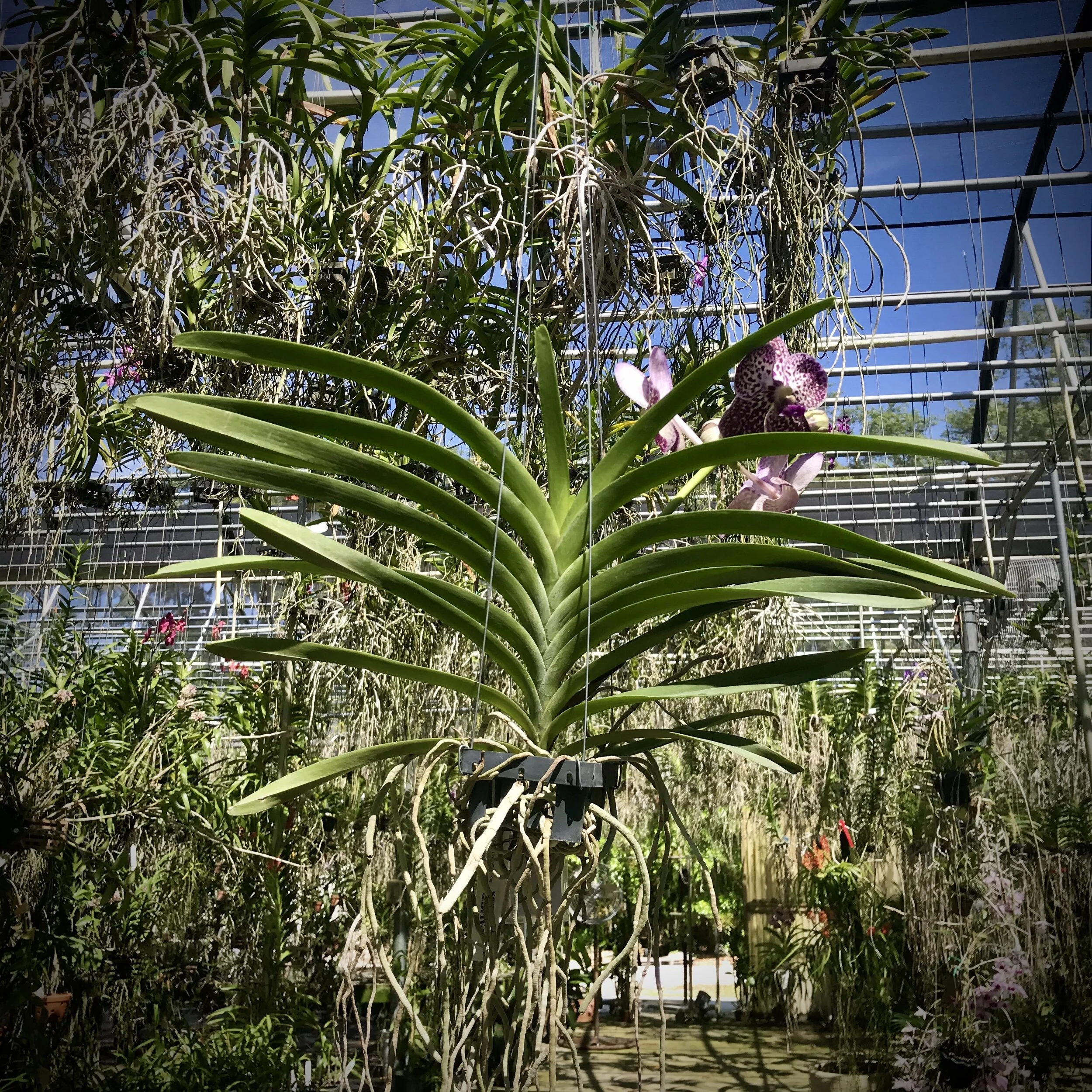 427C315F-7046-41D5-BFC9-ED470EB2C18B