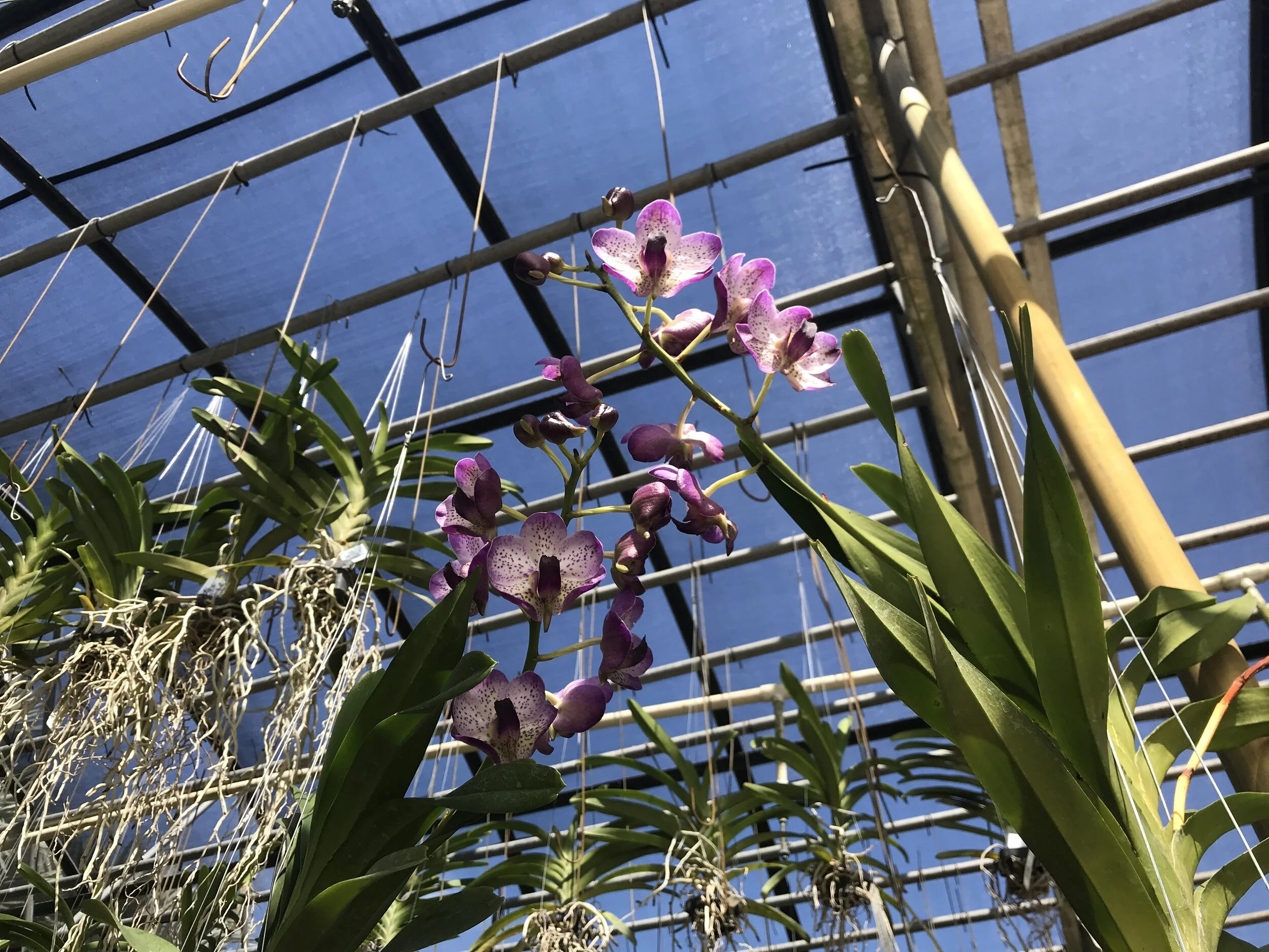 DDE2E0C3-65FE-4108-9044-CB7D0FDB5235