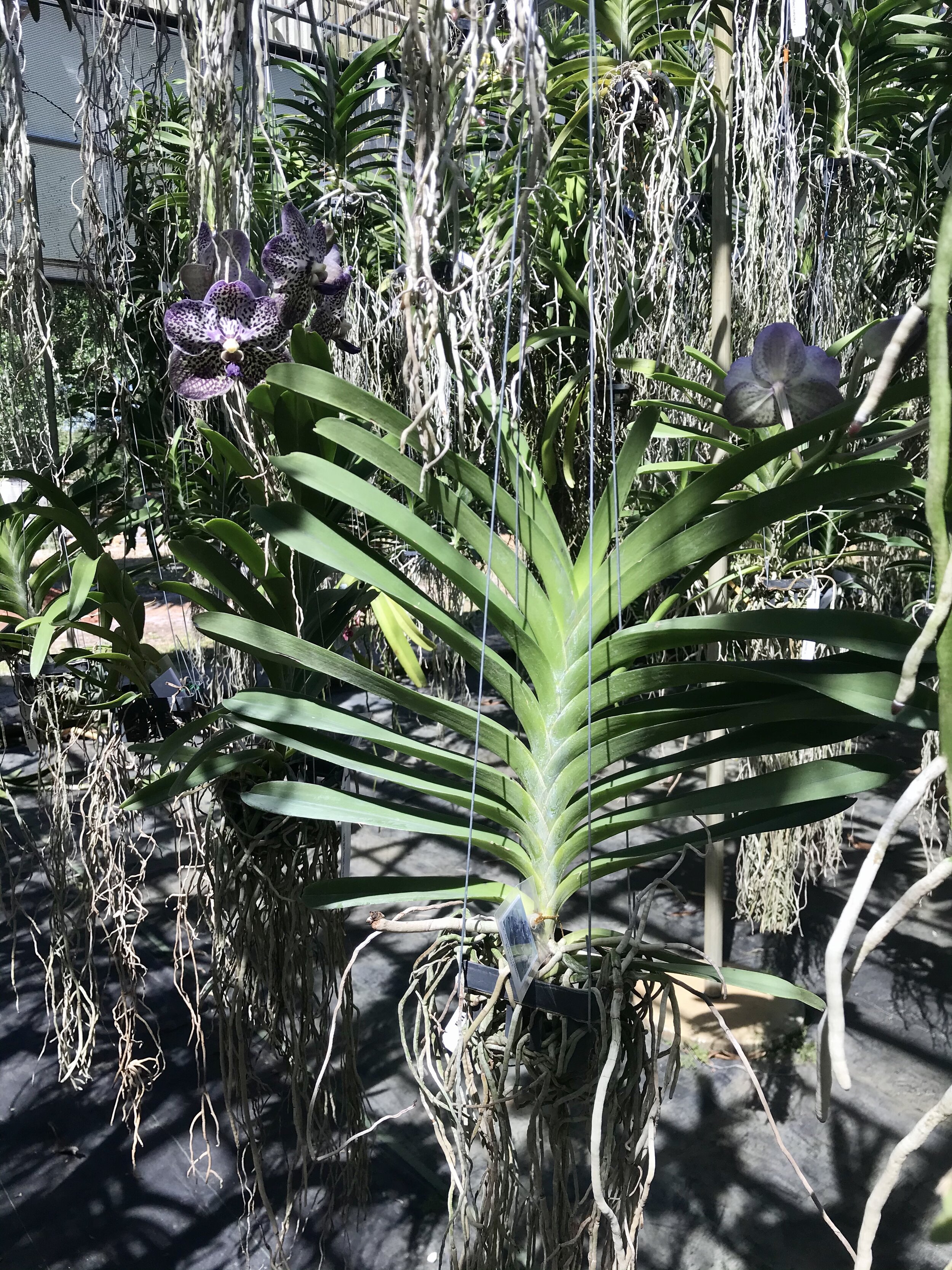 4CD17FEC-1D38-455C-9202-5B936B7325BB