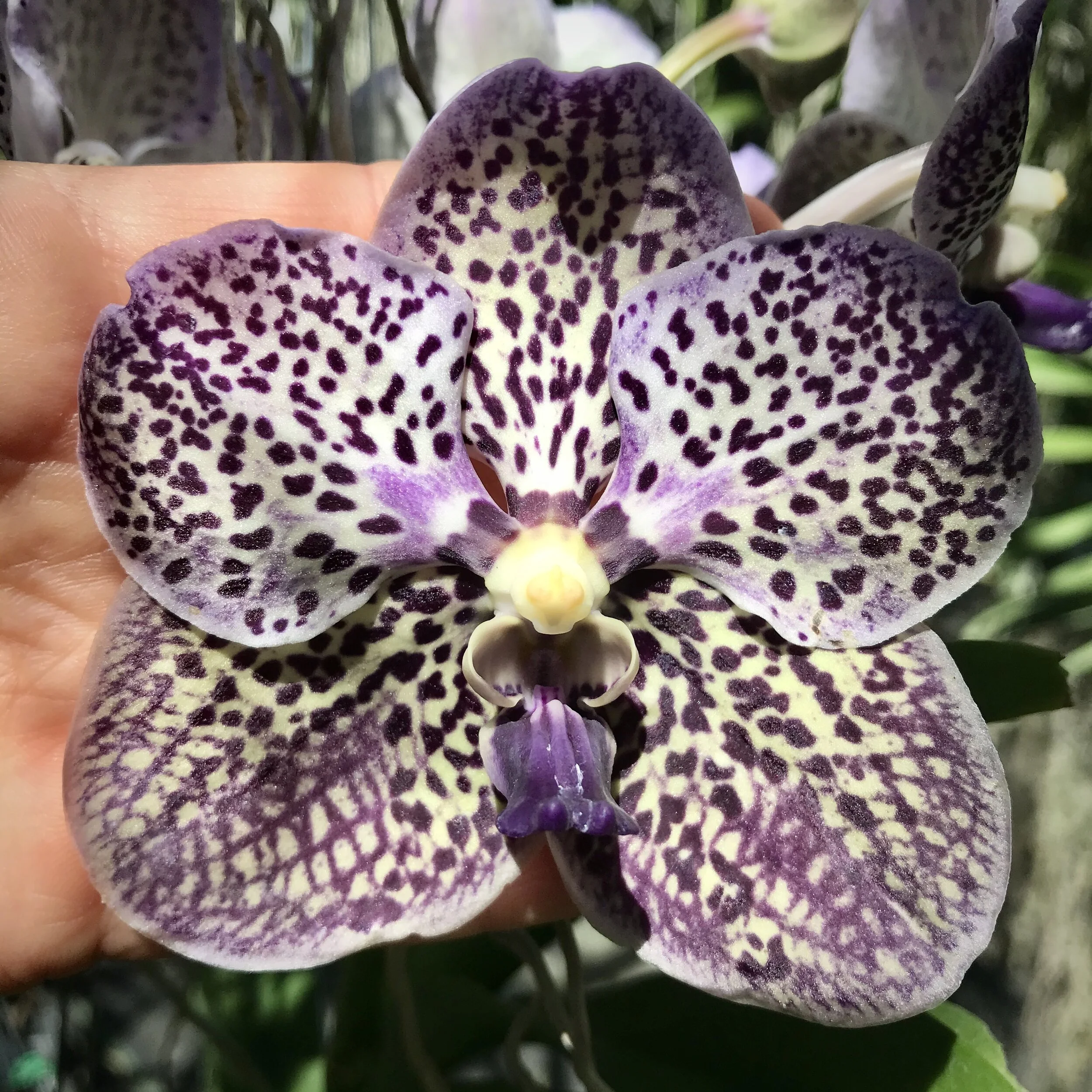 2796EBB7-49CB-43AA-AE3F-0EEE57BF89DD