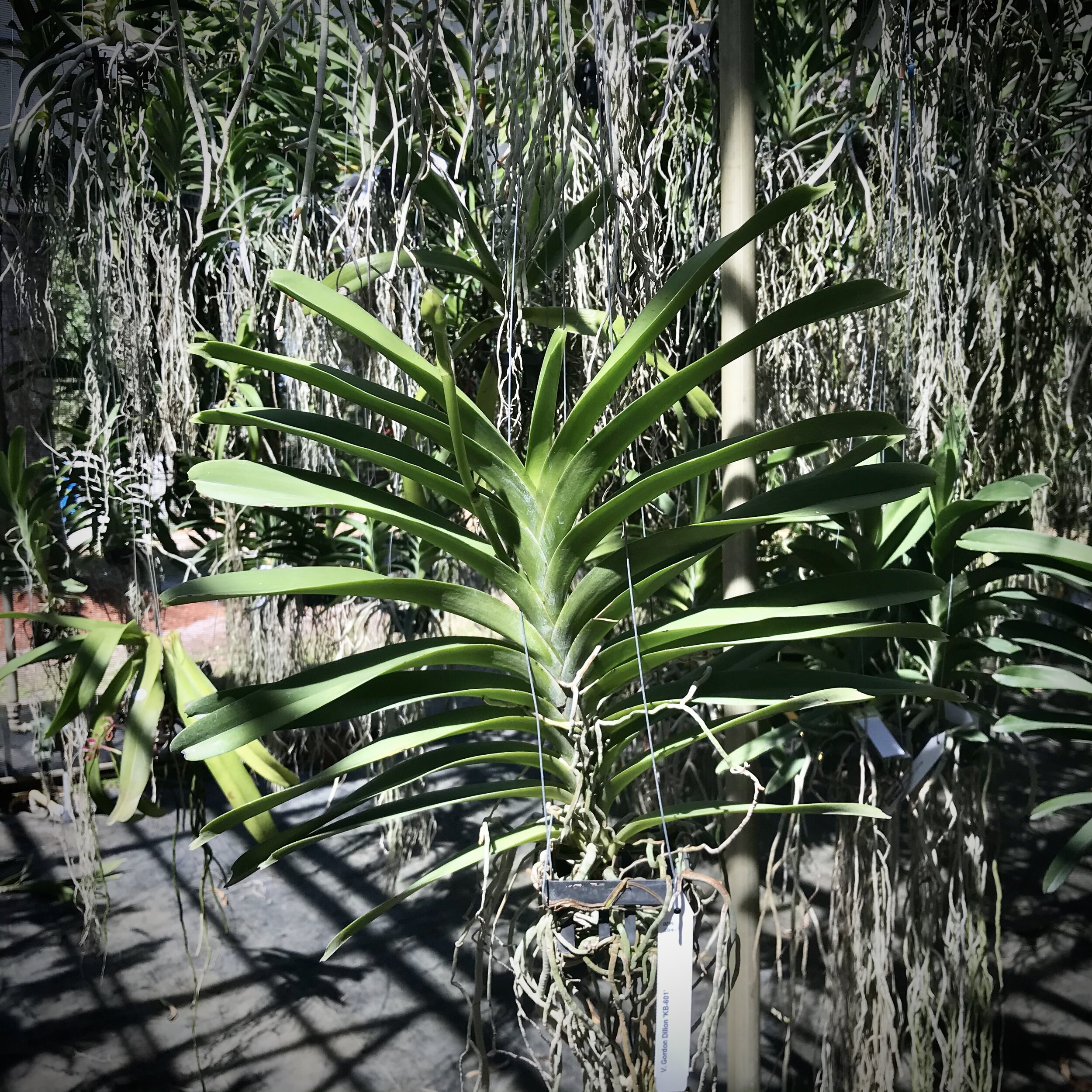 F8AEE820-E21B-4300-8A4A-E4E5ACE77488